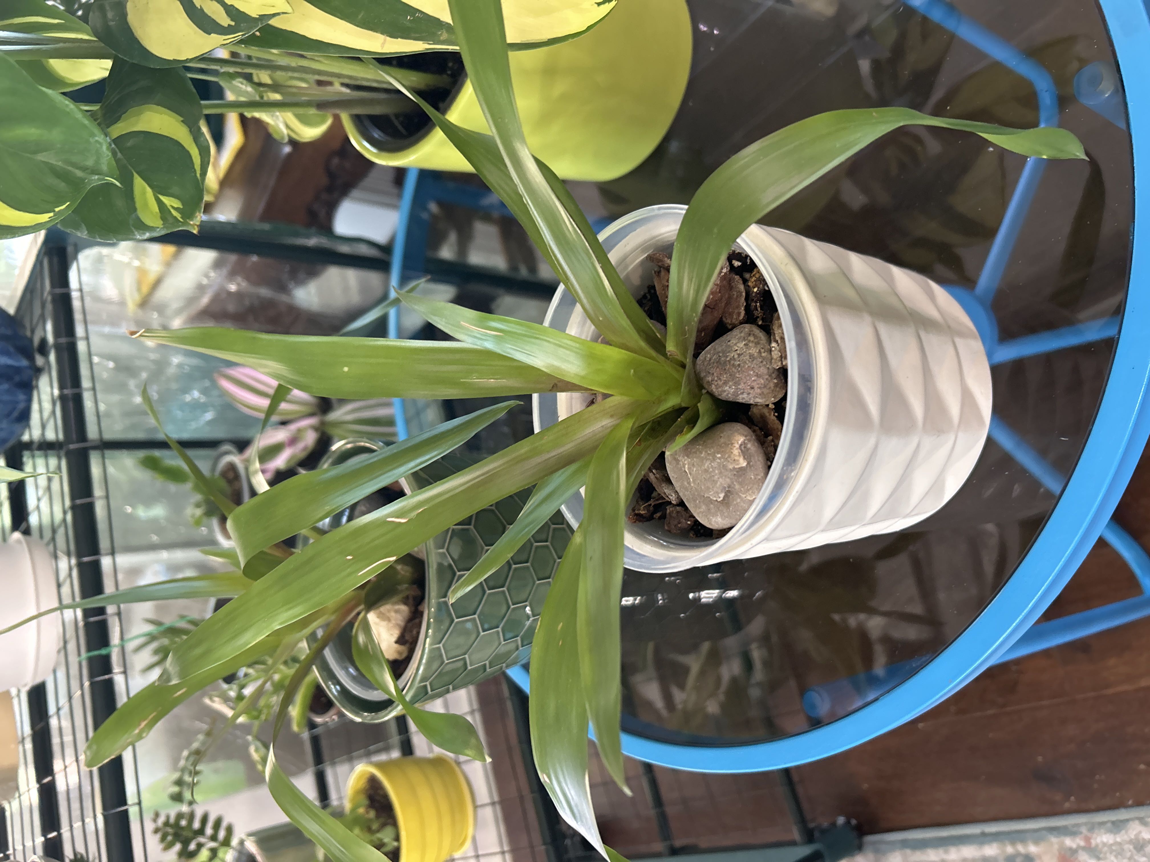 Photo from the post