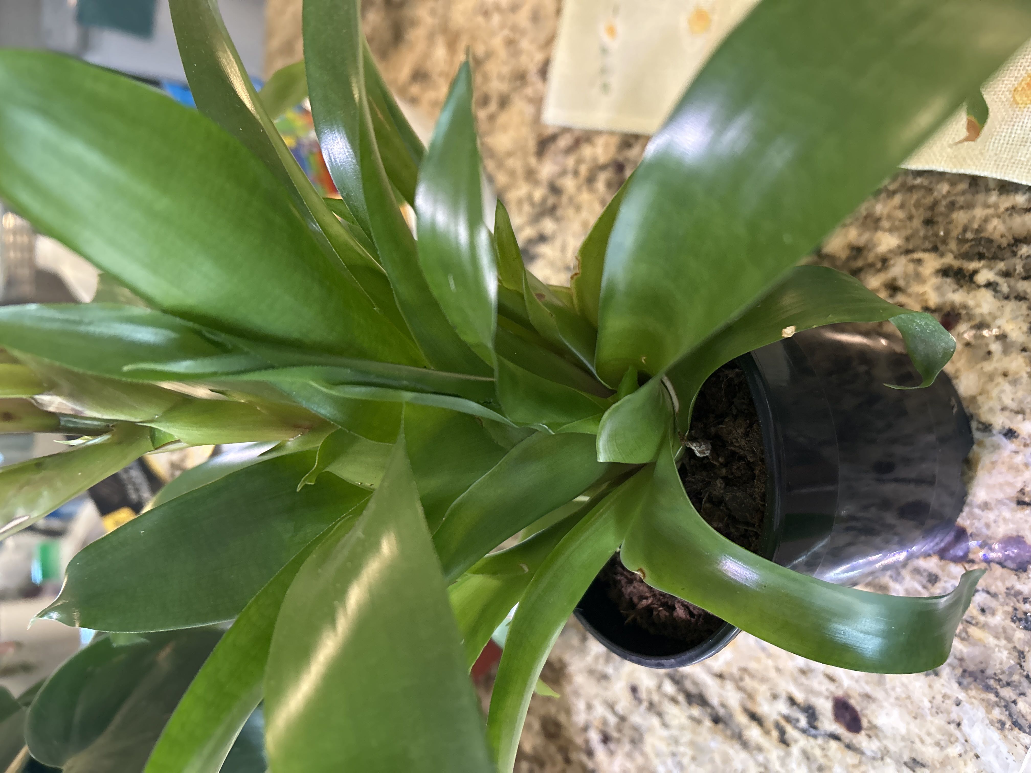 Photo from the post