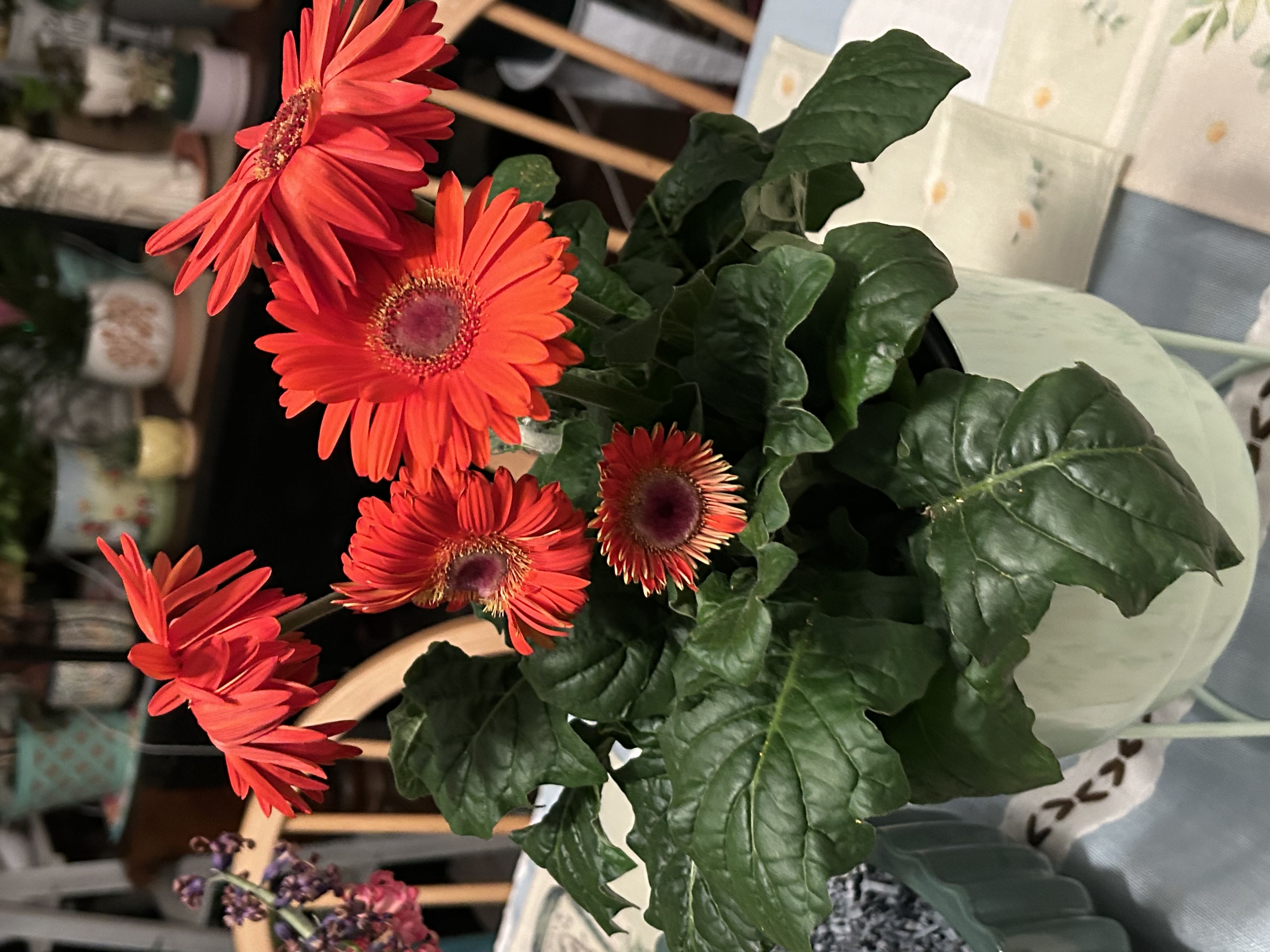 Photo from the post