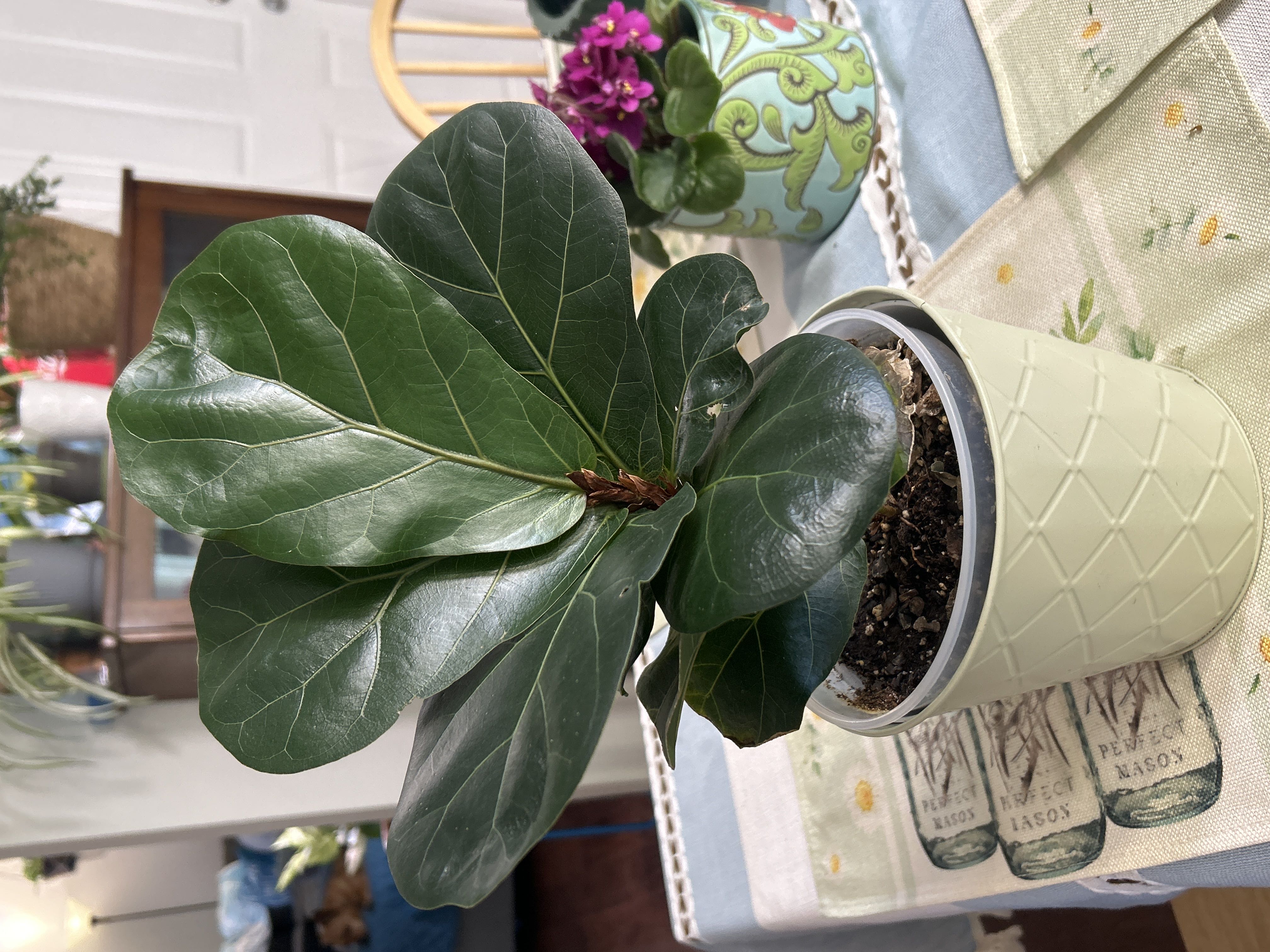 Photo from the post