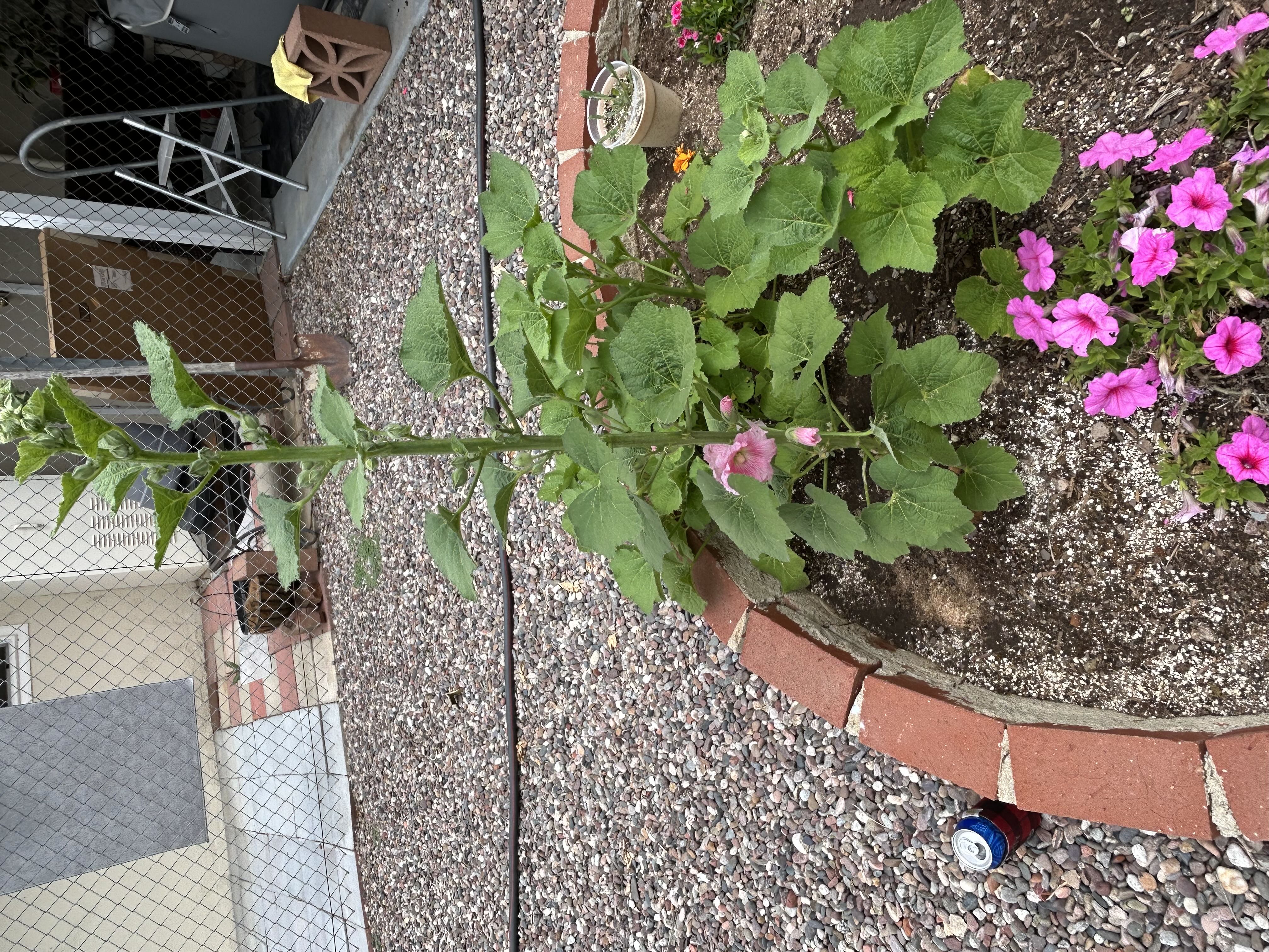 Photo from the post