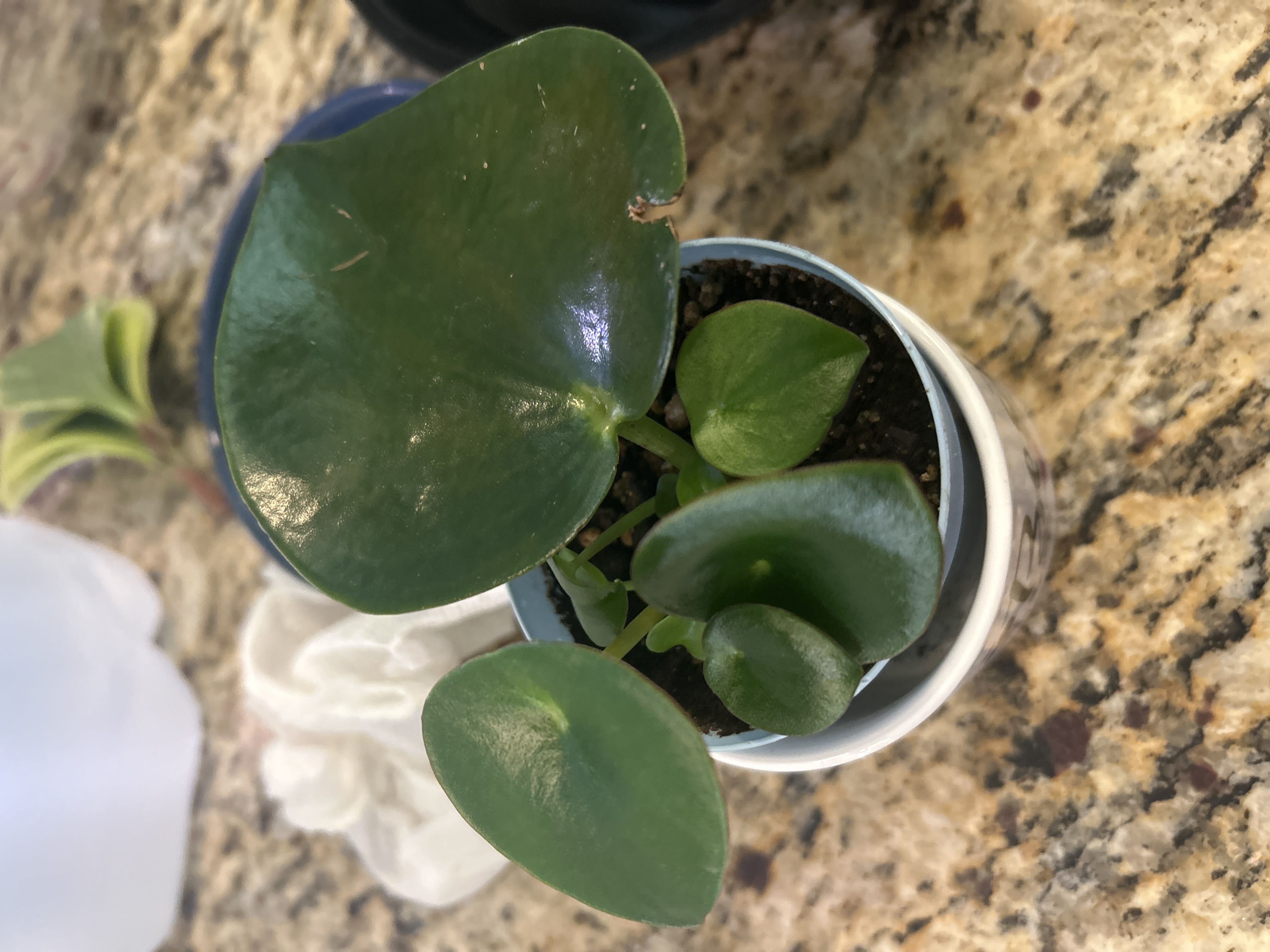 Photo from the post