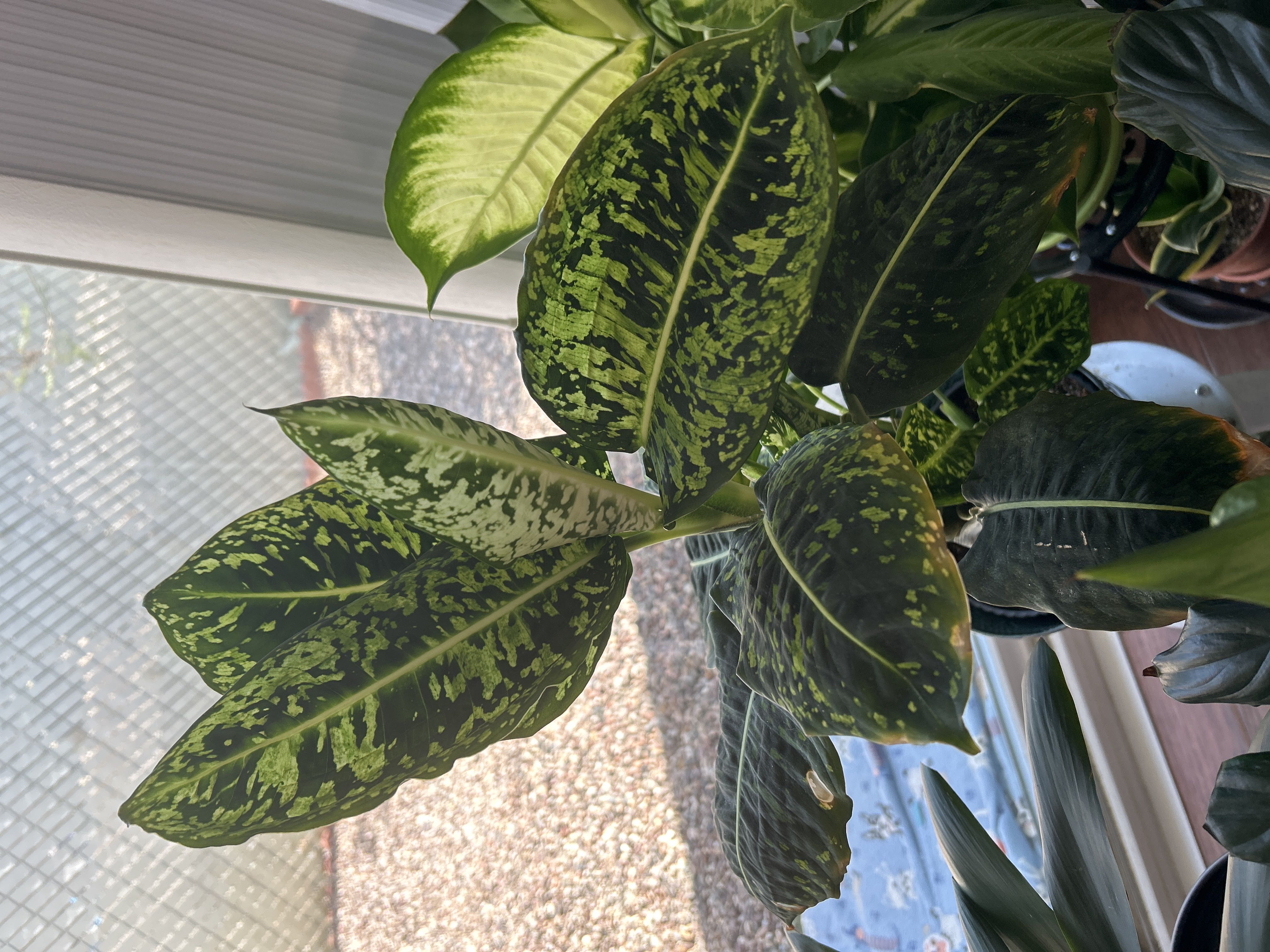 Photo from the post