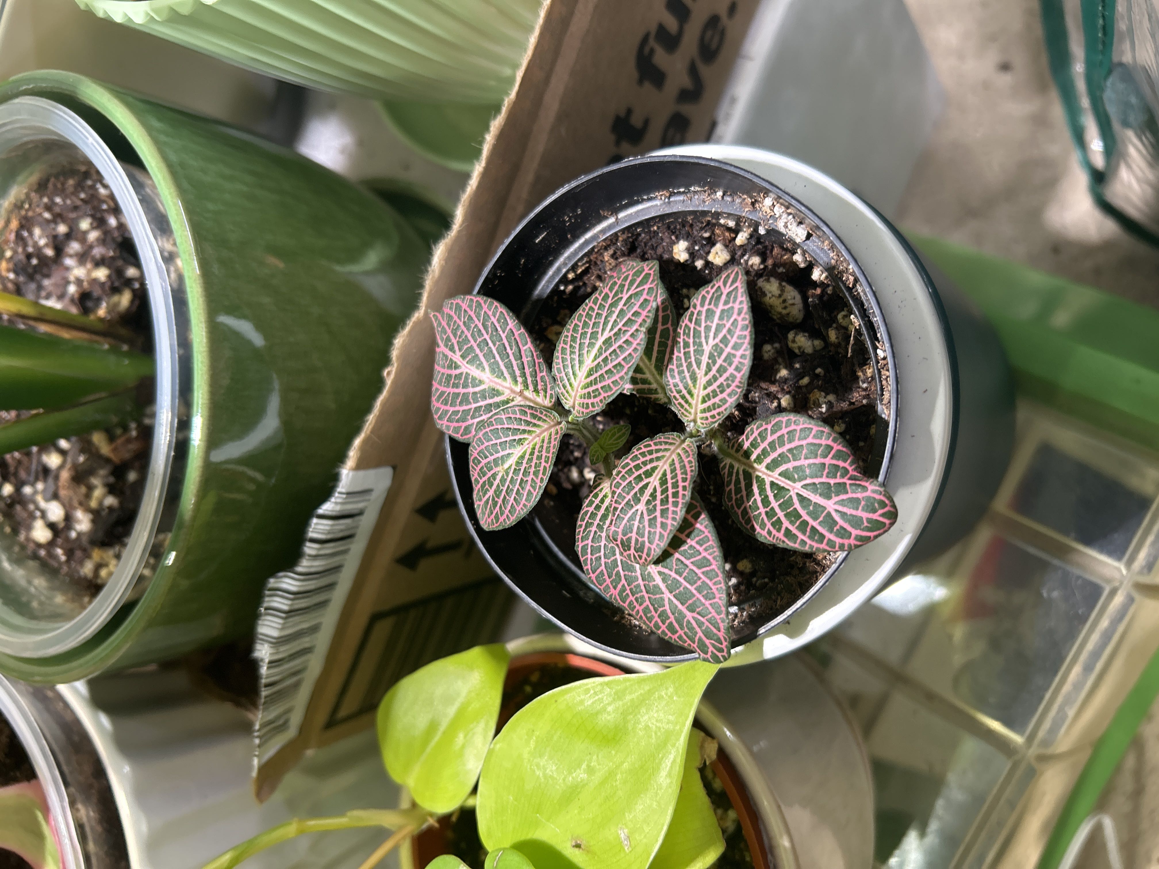 Photo from the post
