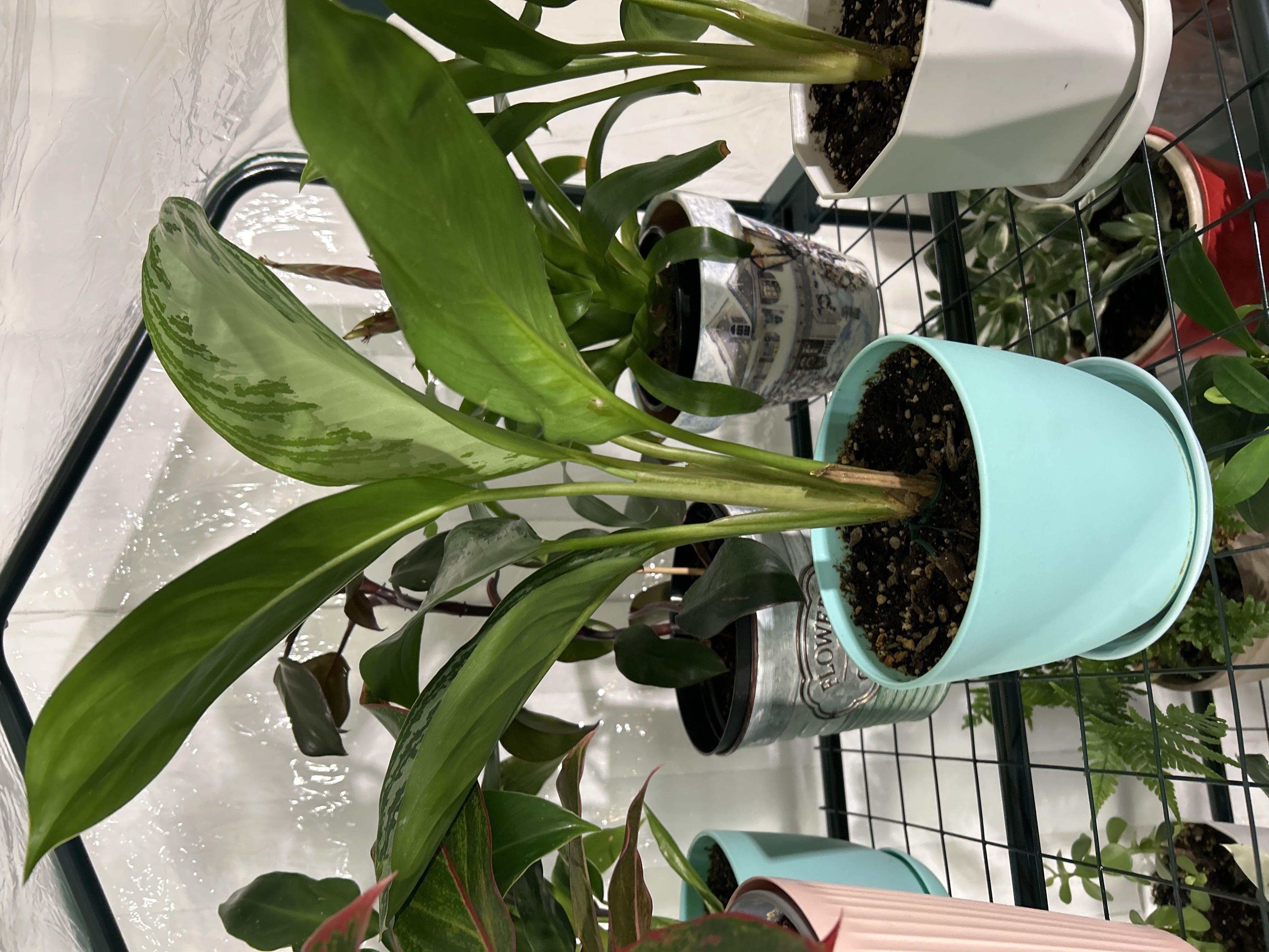Photo from the post