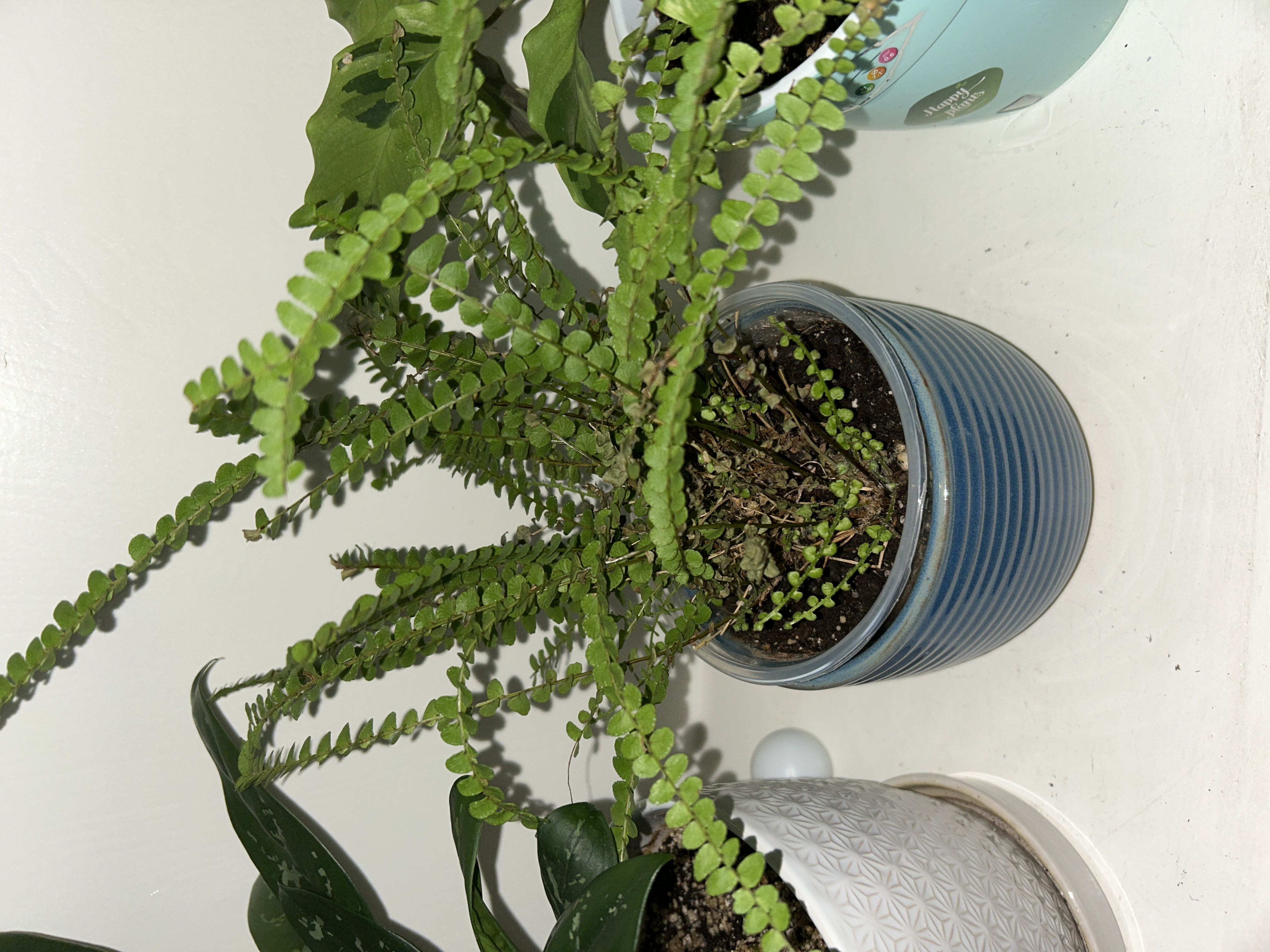 Photo from the post