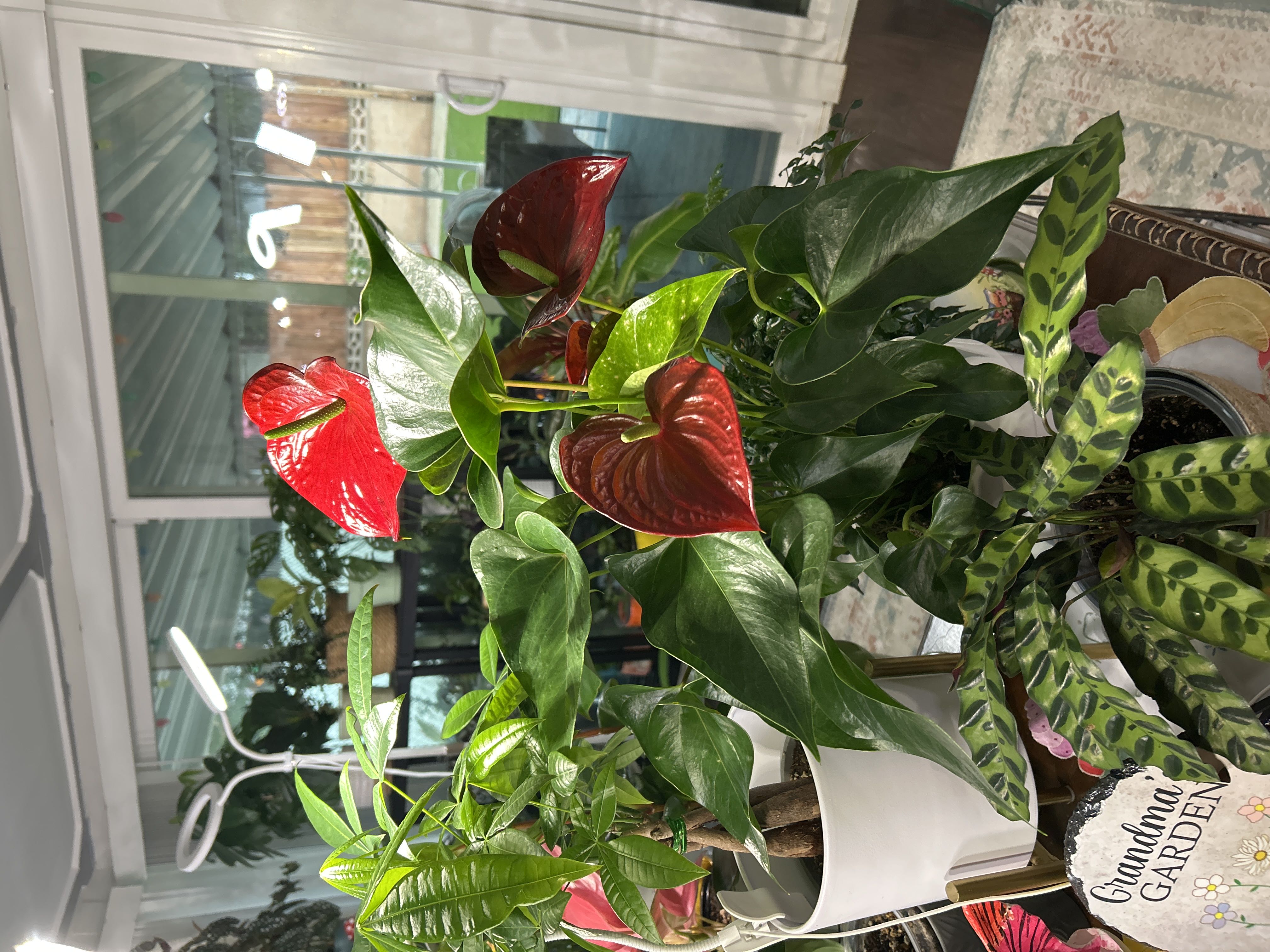 Photo from the post