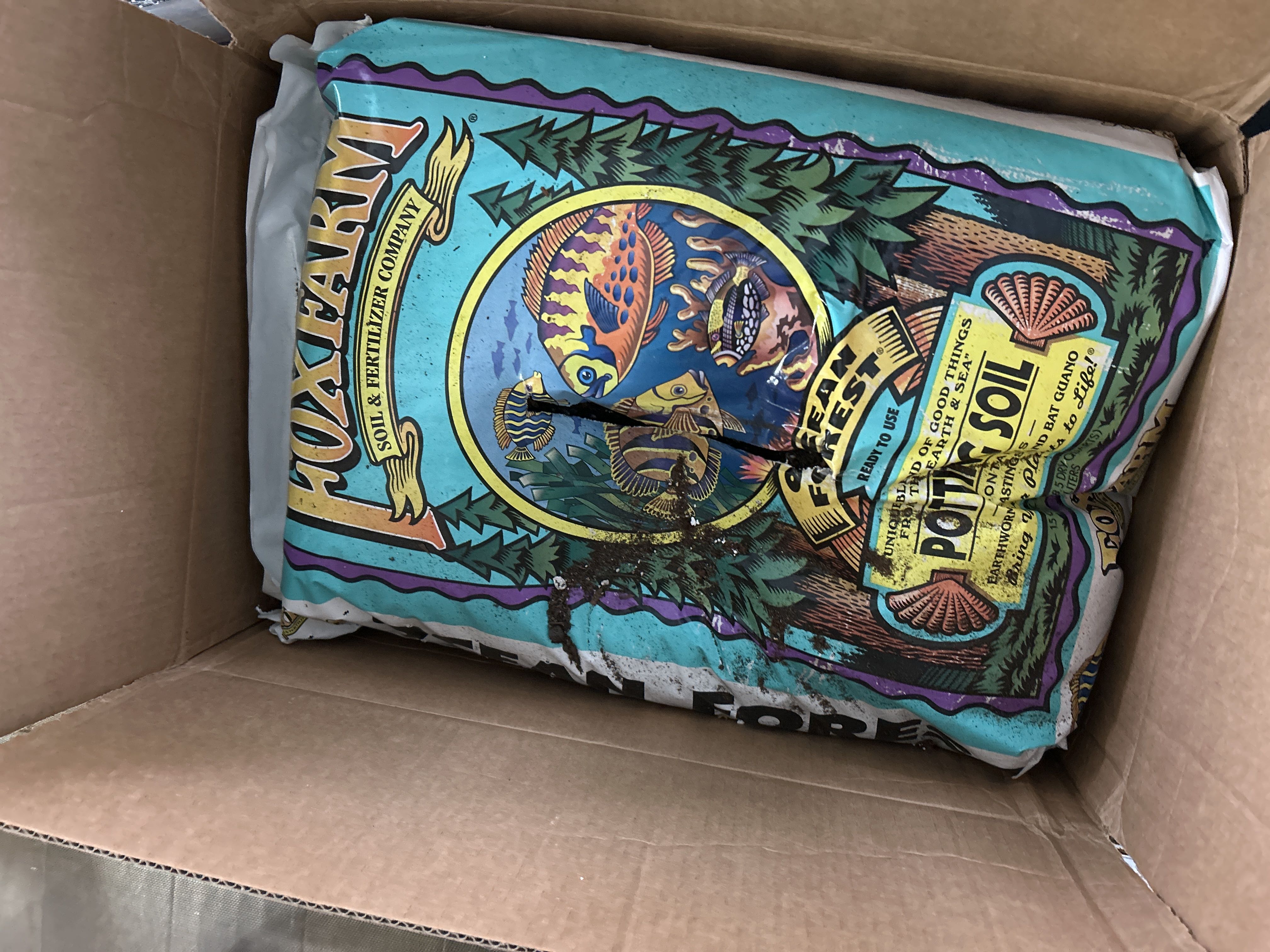 Photo from the post