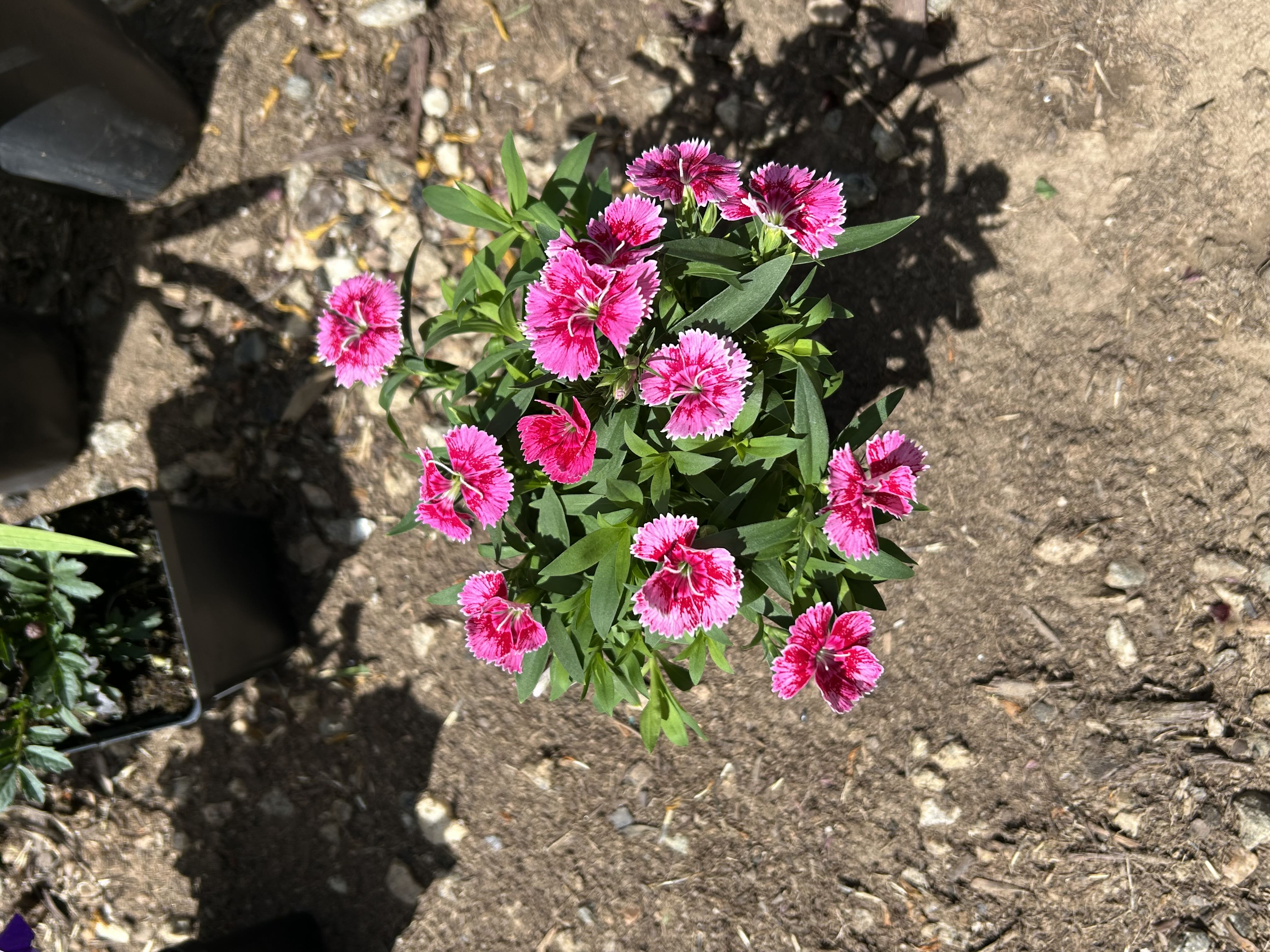 Photo from the post