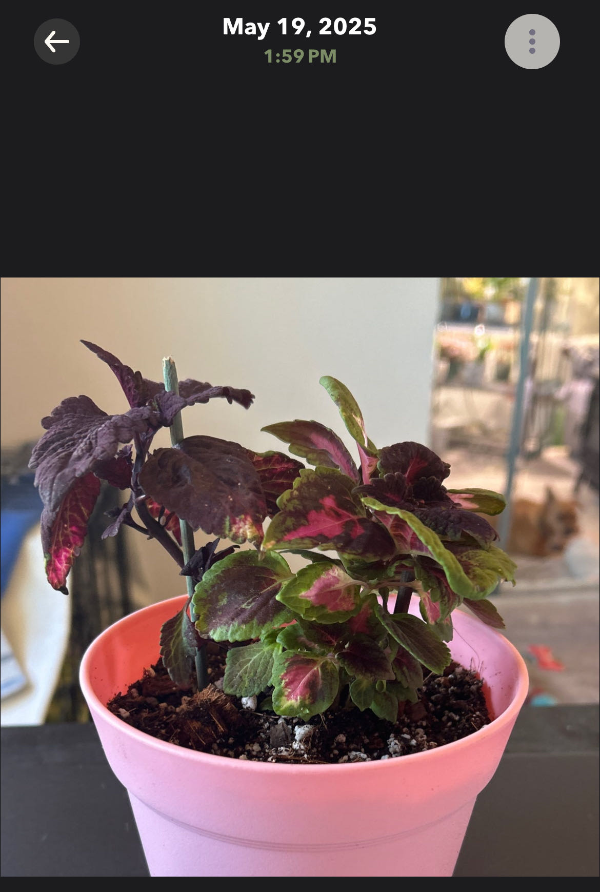 Photo from the post