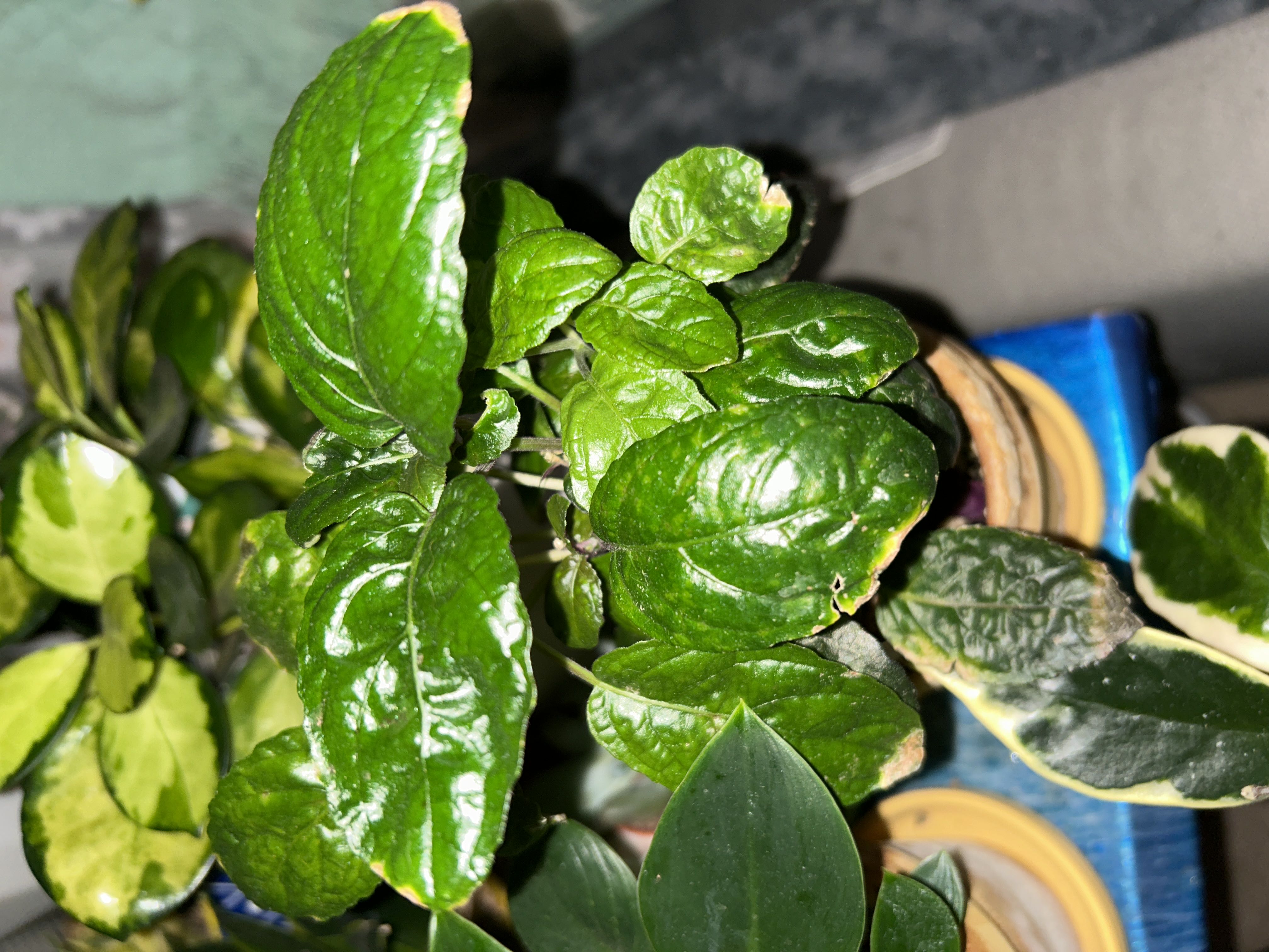 Photo from the post