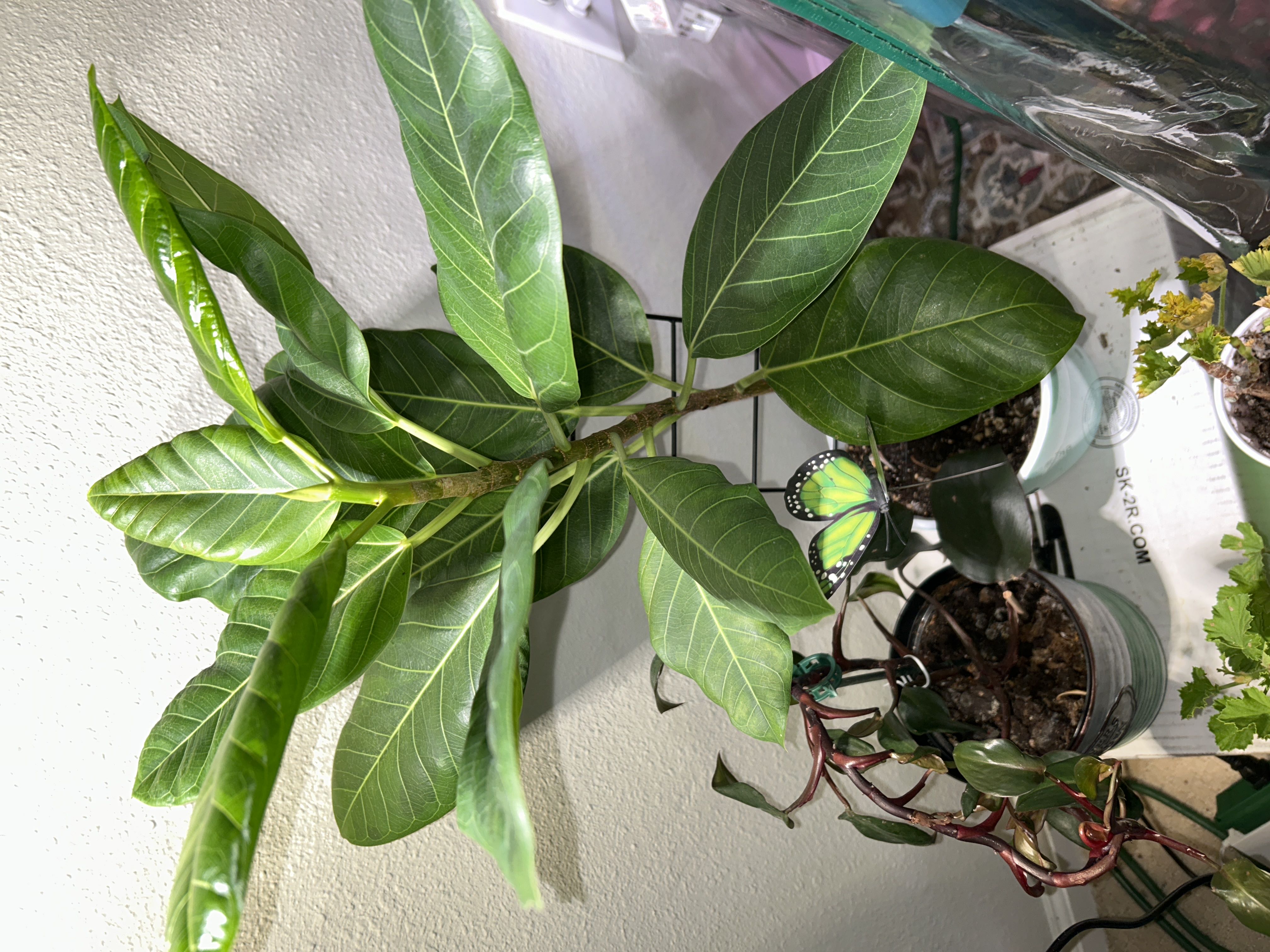 Photo from the post