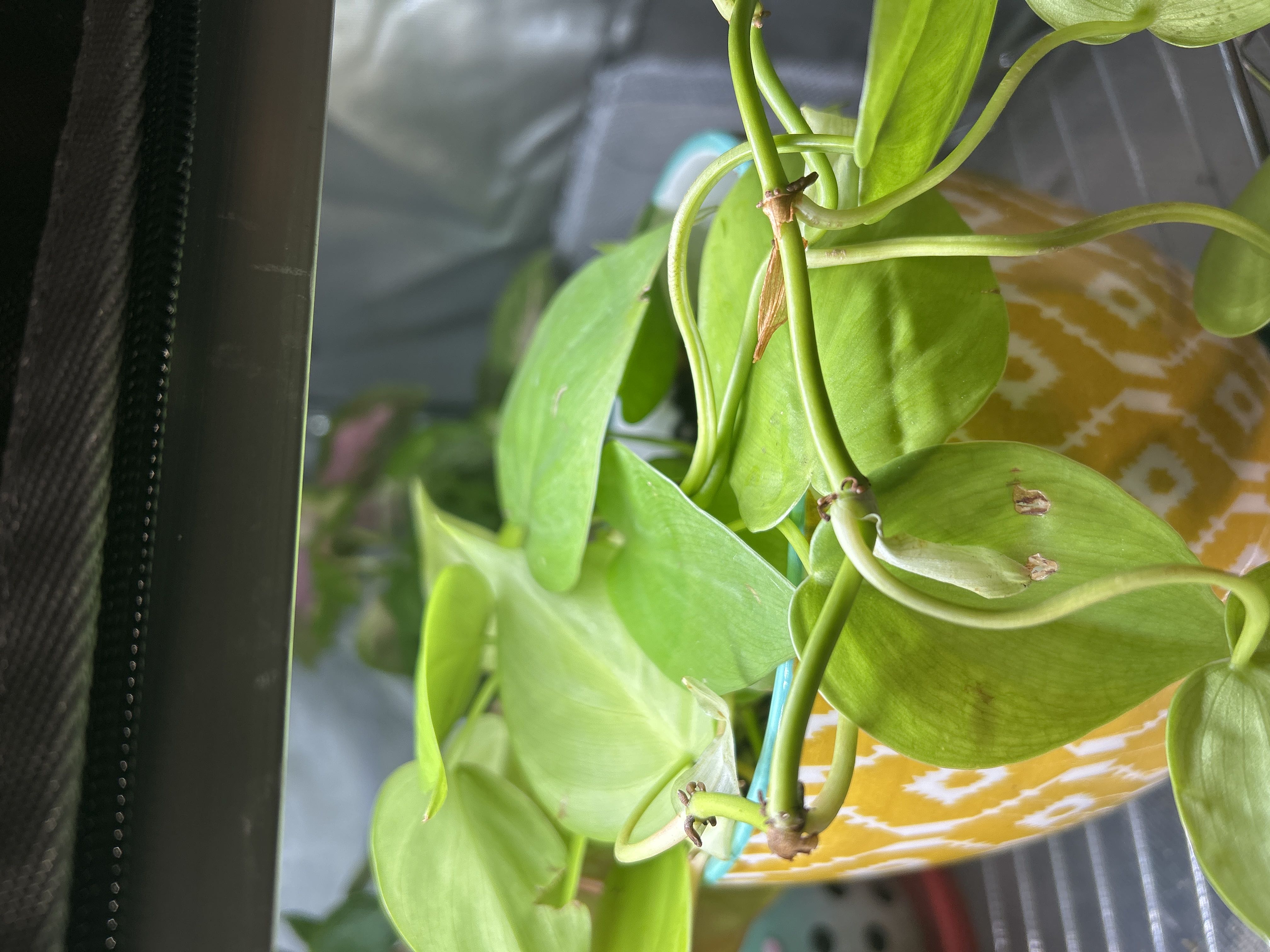 Photo from the post