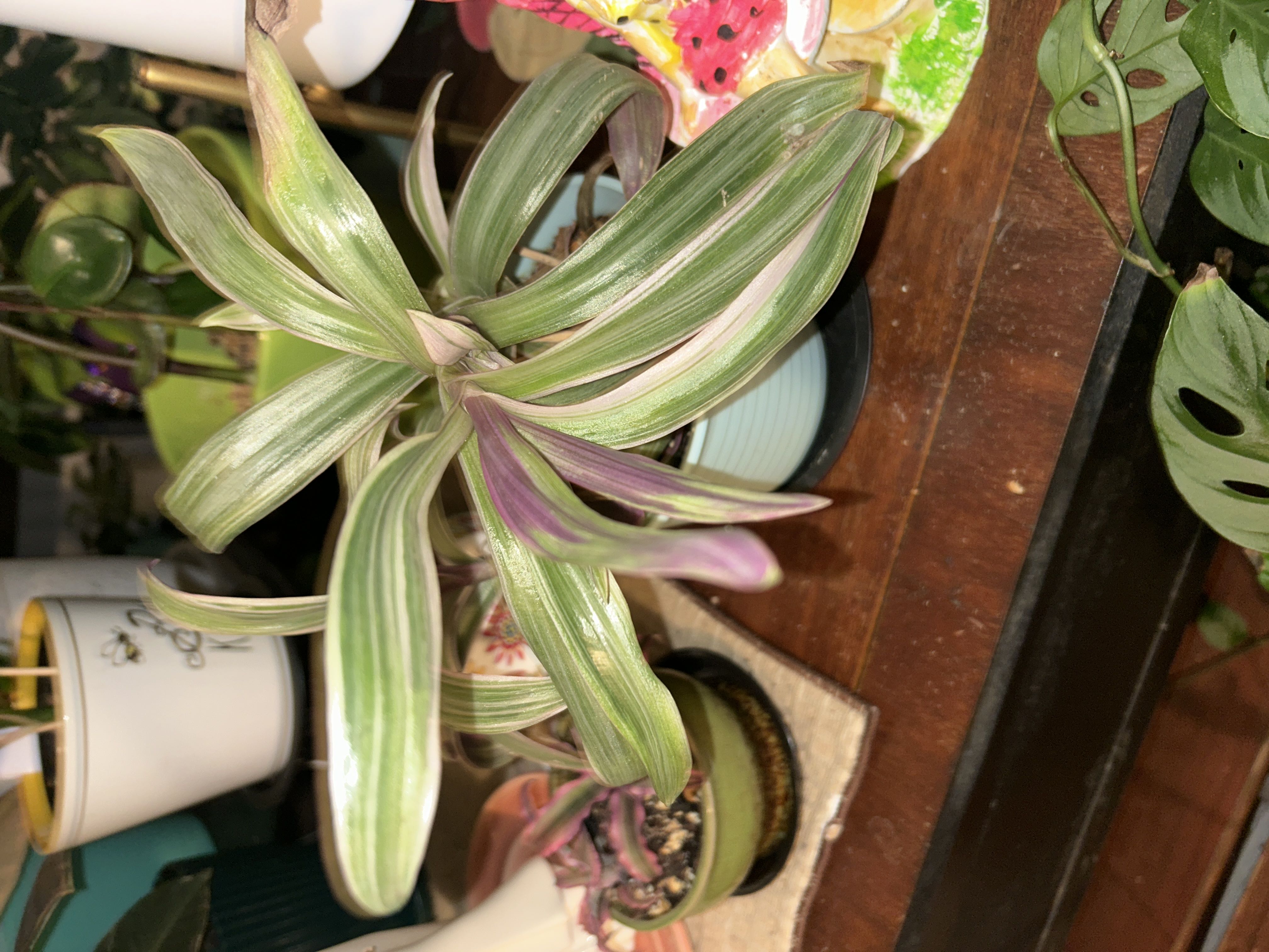Photo from the post