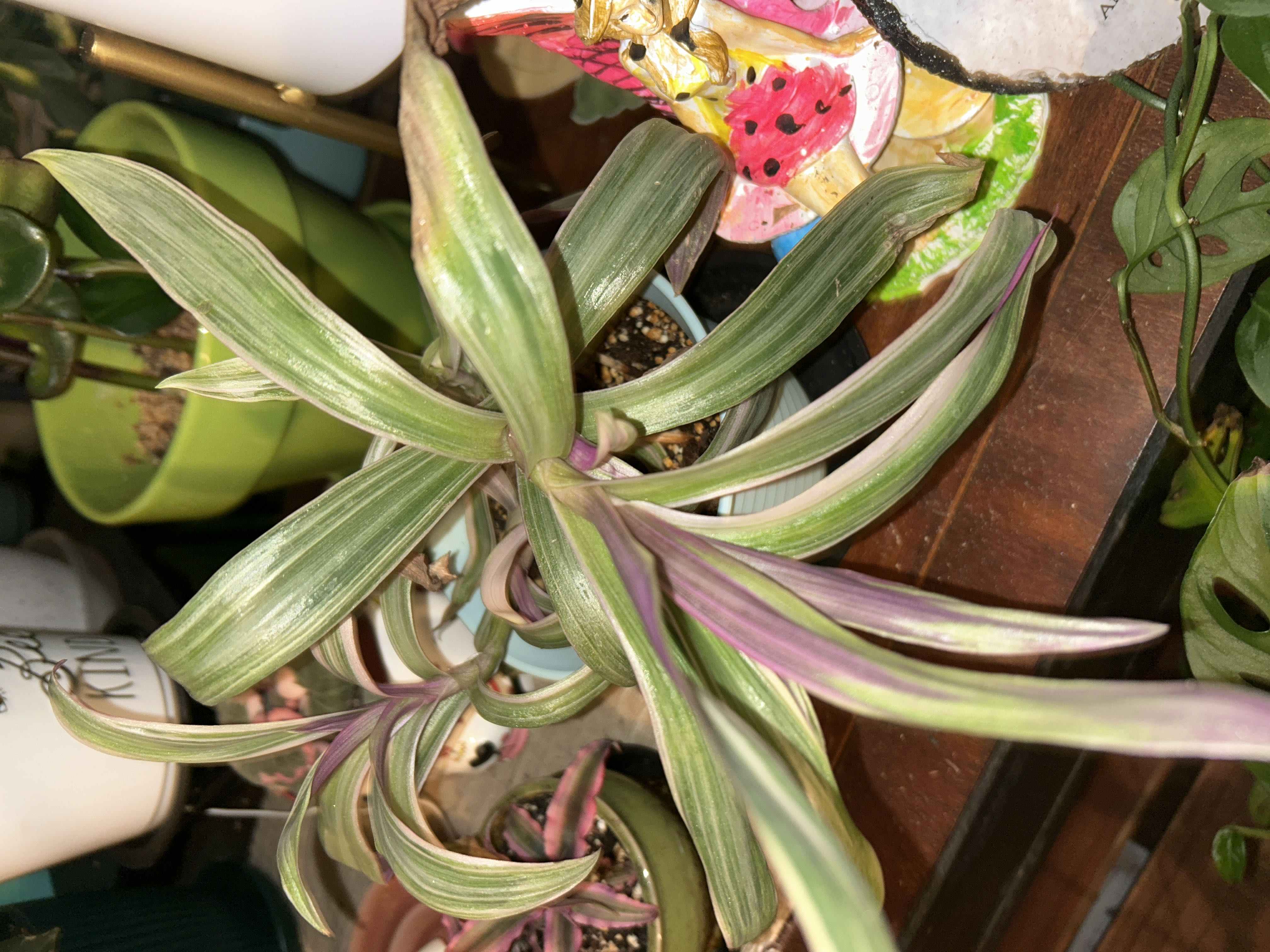 Photo from the post