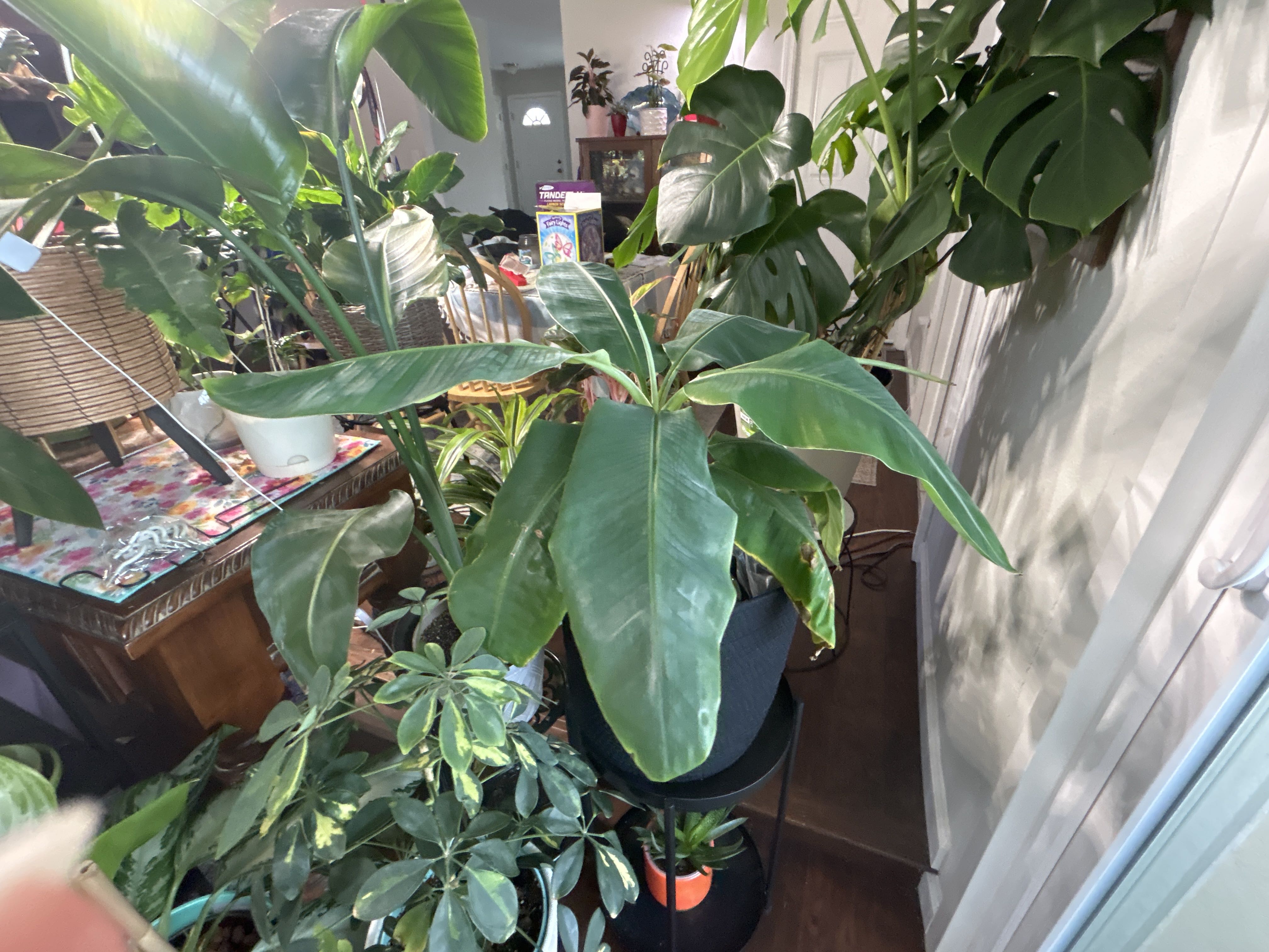 Photo from the post