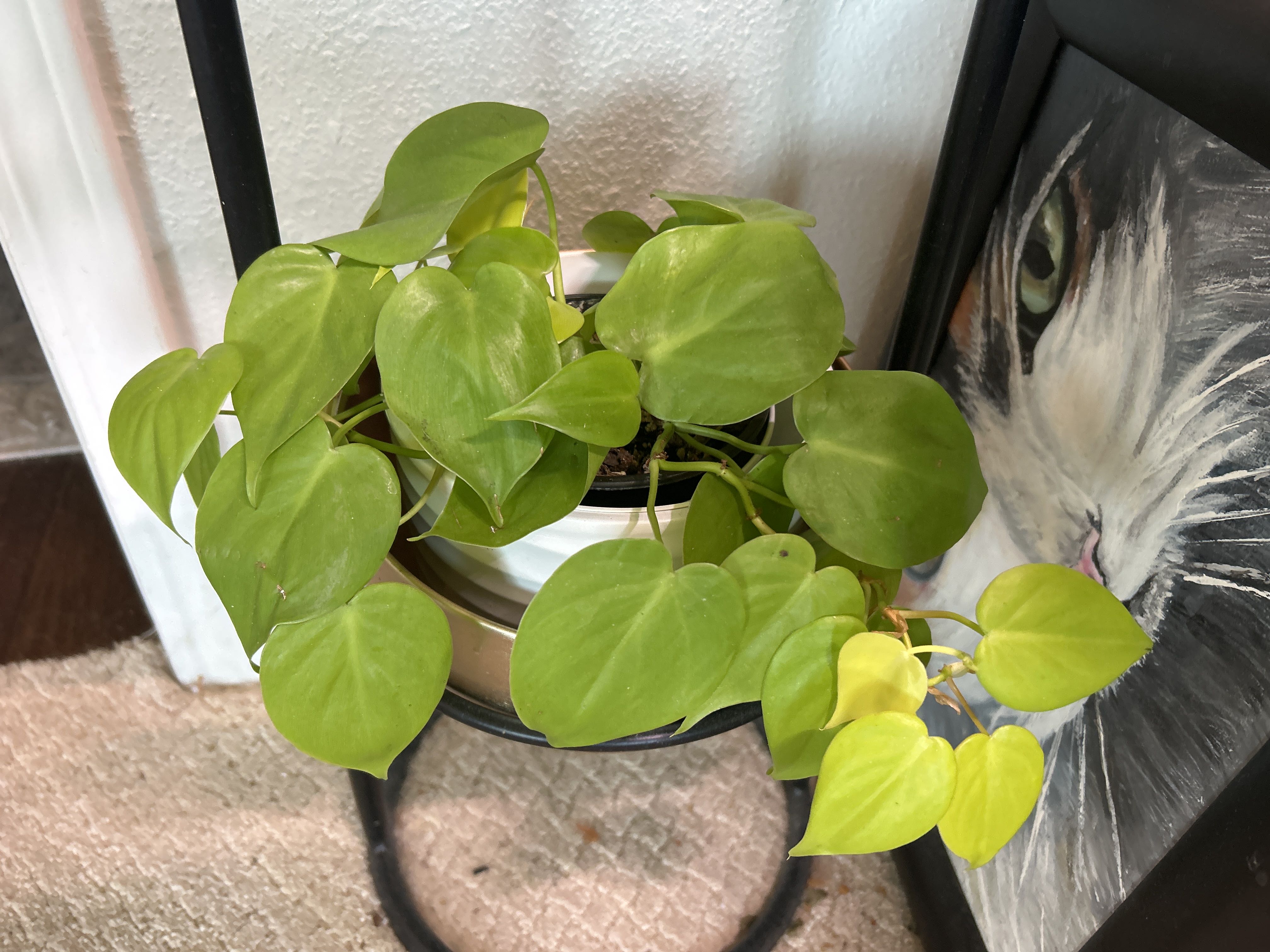 Photo from the post