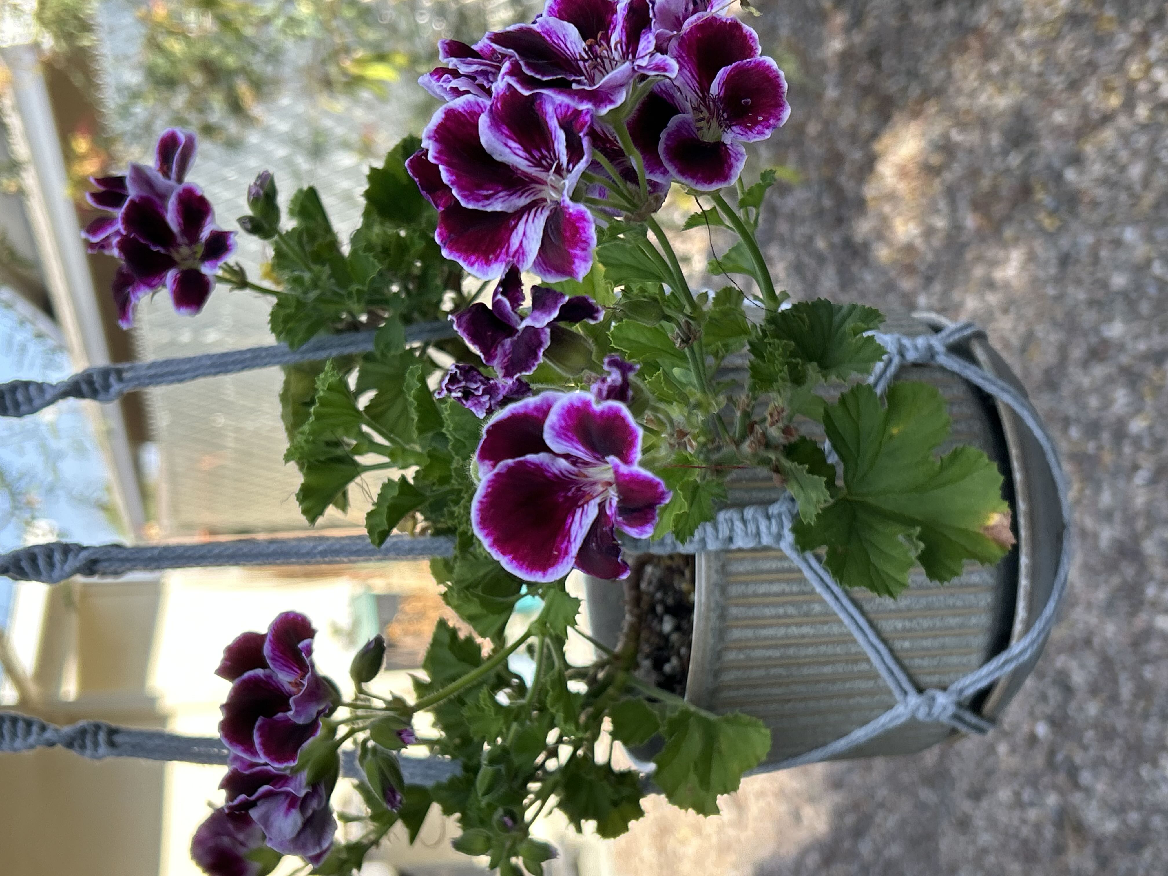 Photo from the post