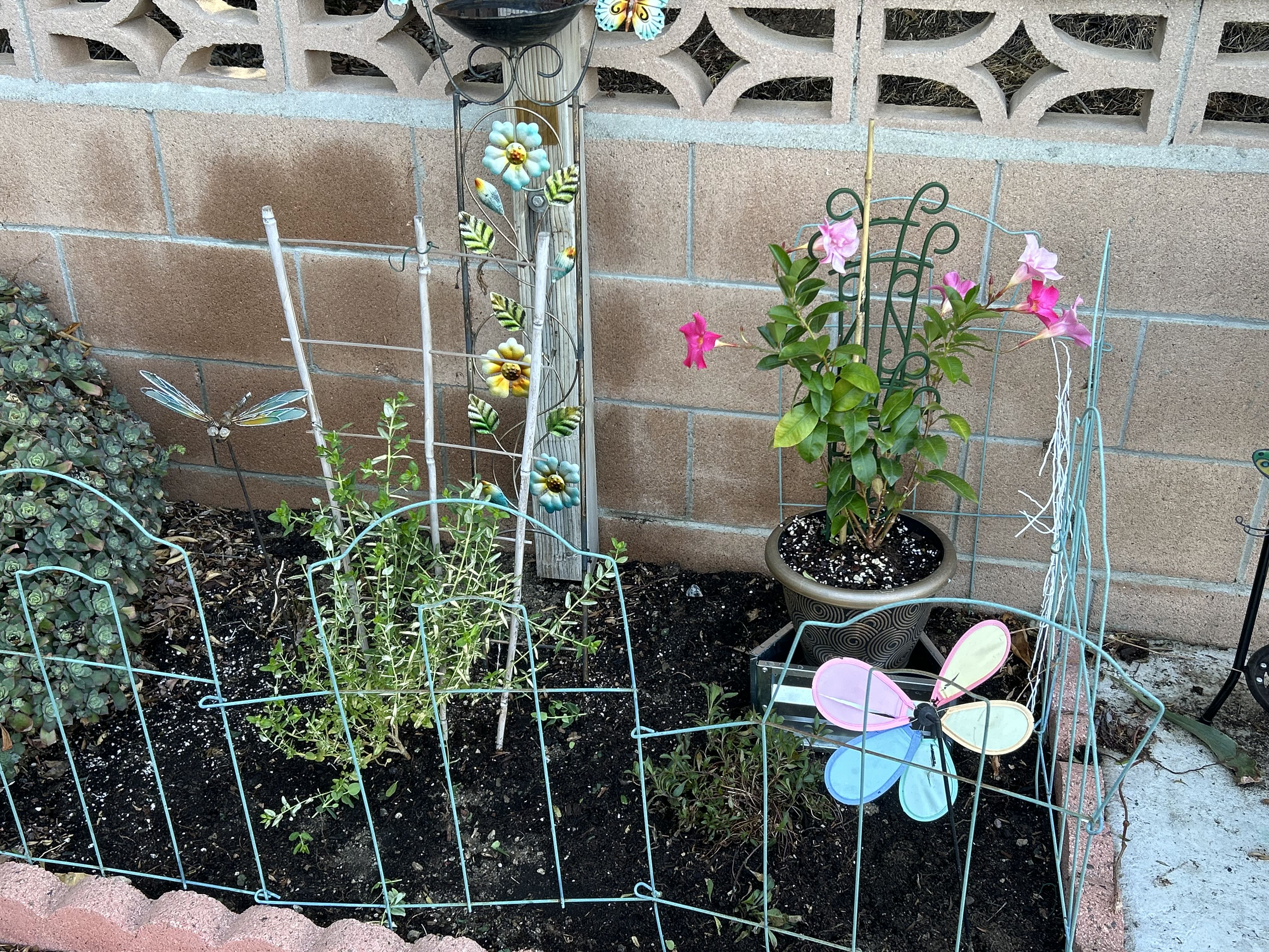 Photo from the post