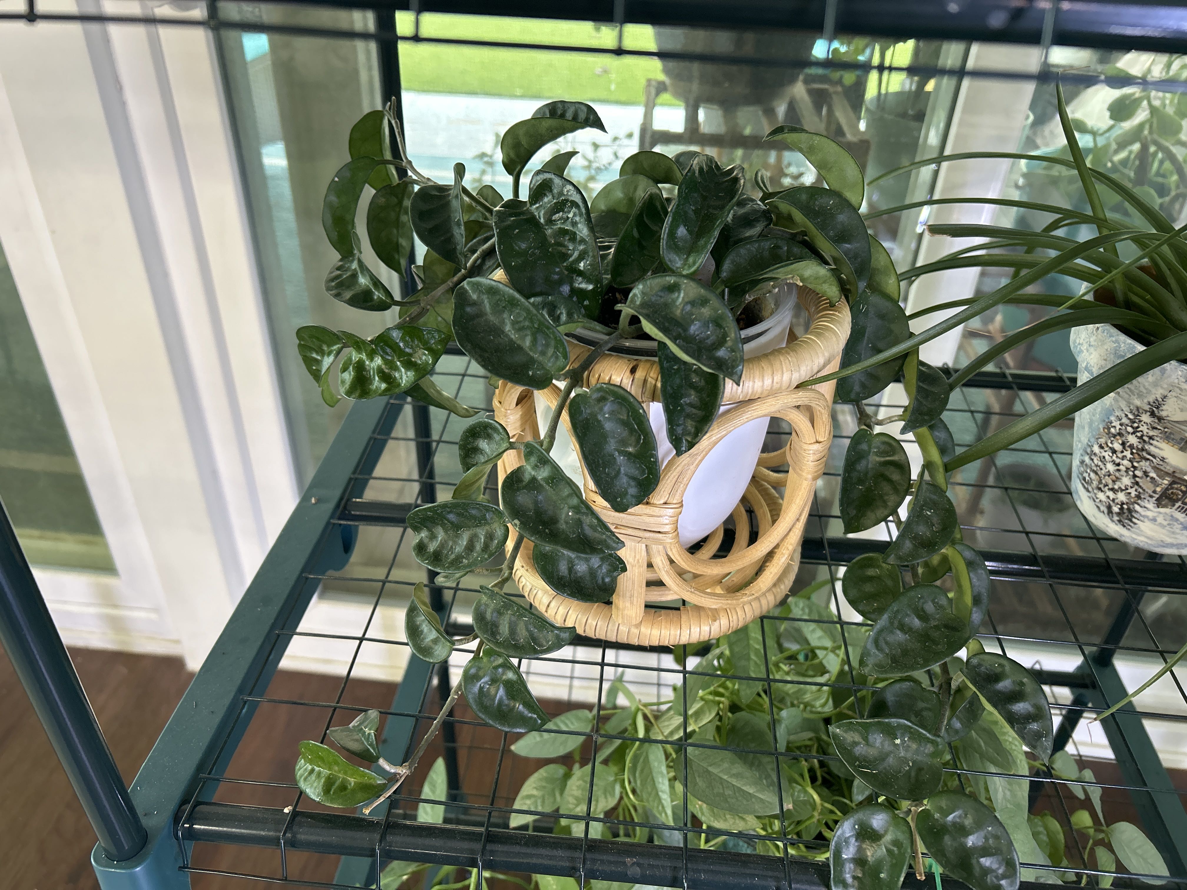 Photo from the post