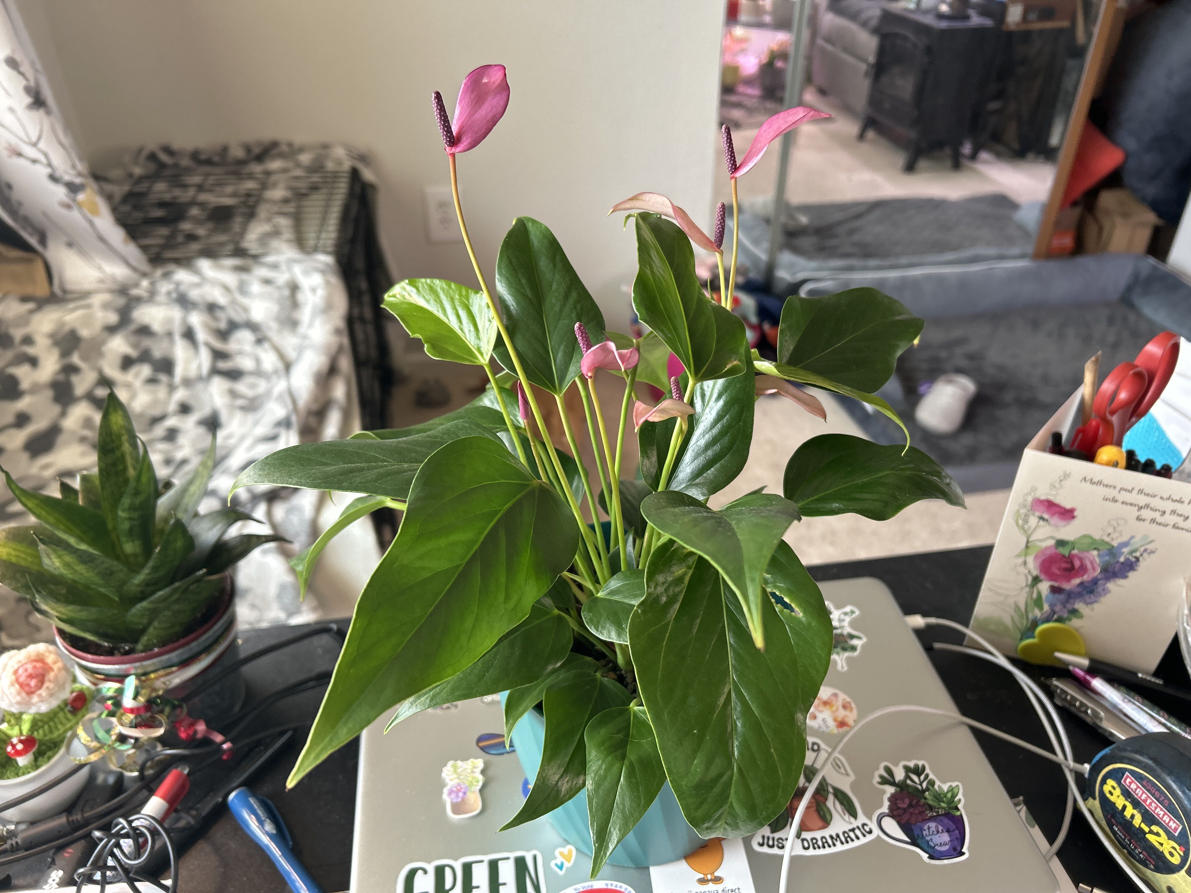 Photo from the post