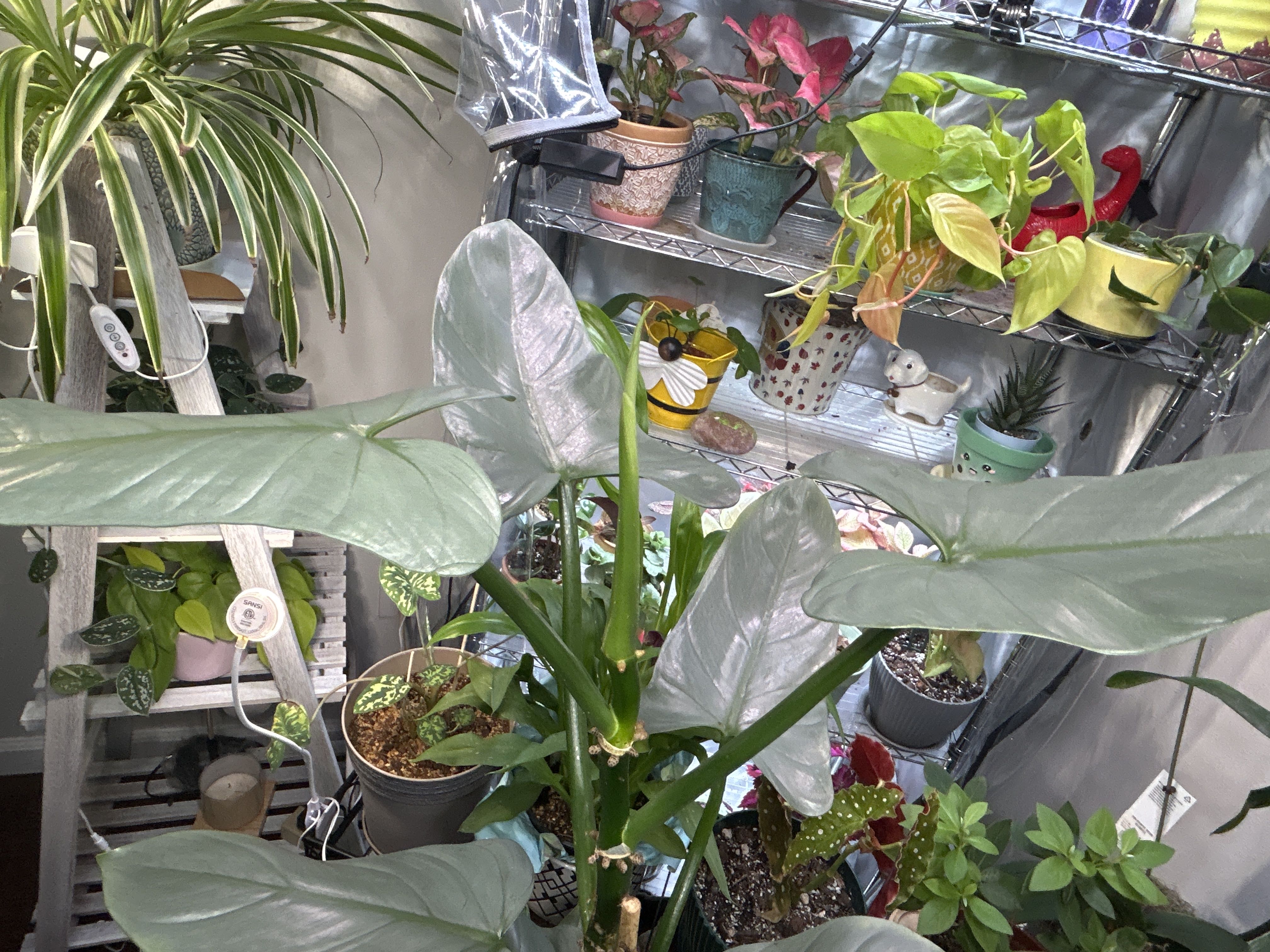 Photo from the post