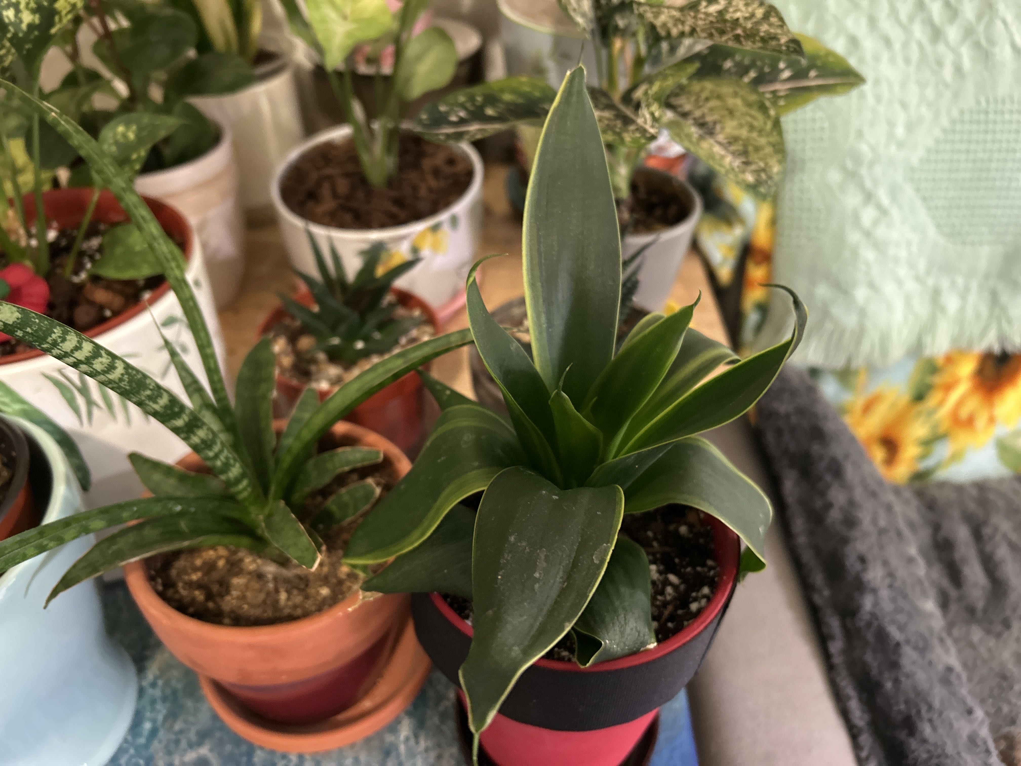 Photo from the post