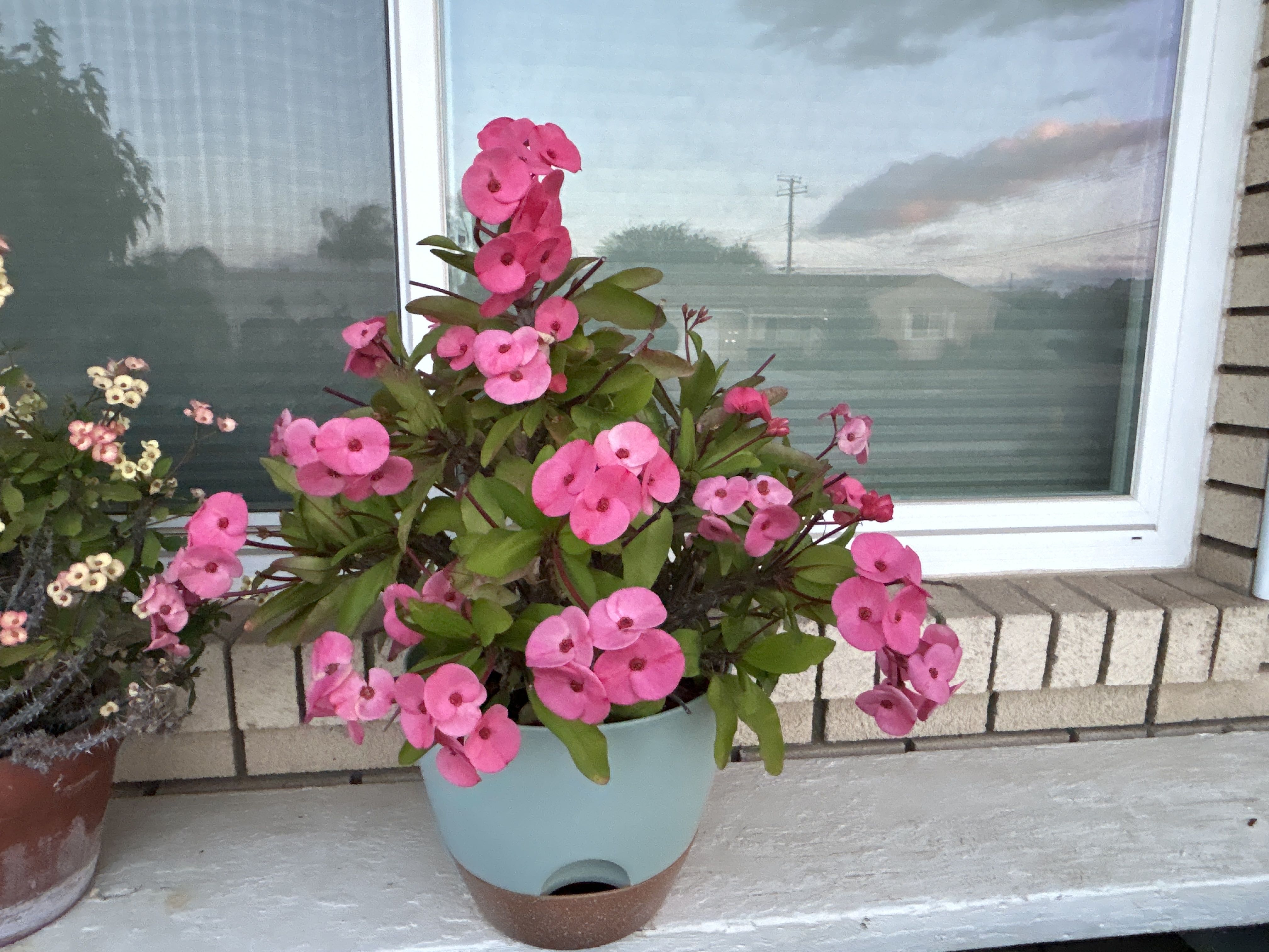 Photo from the post