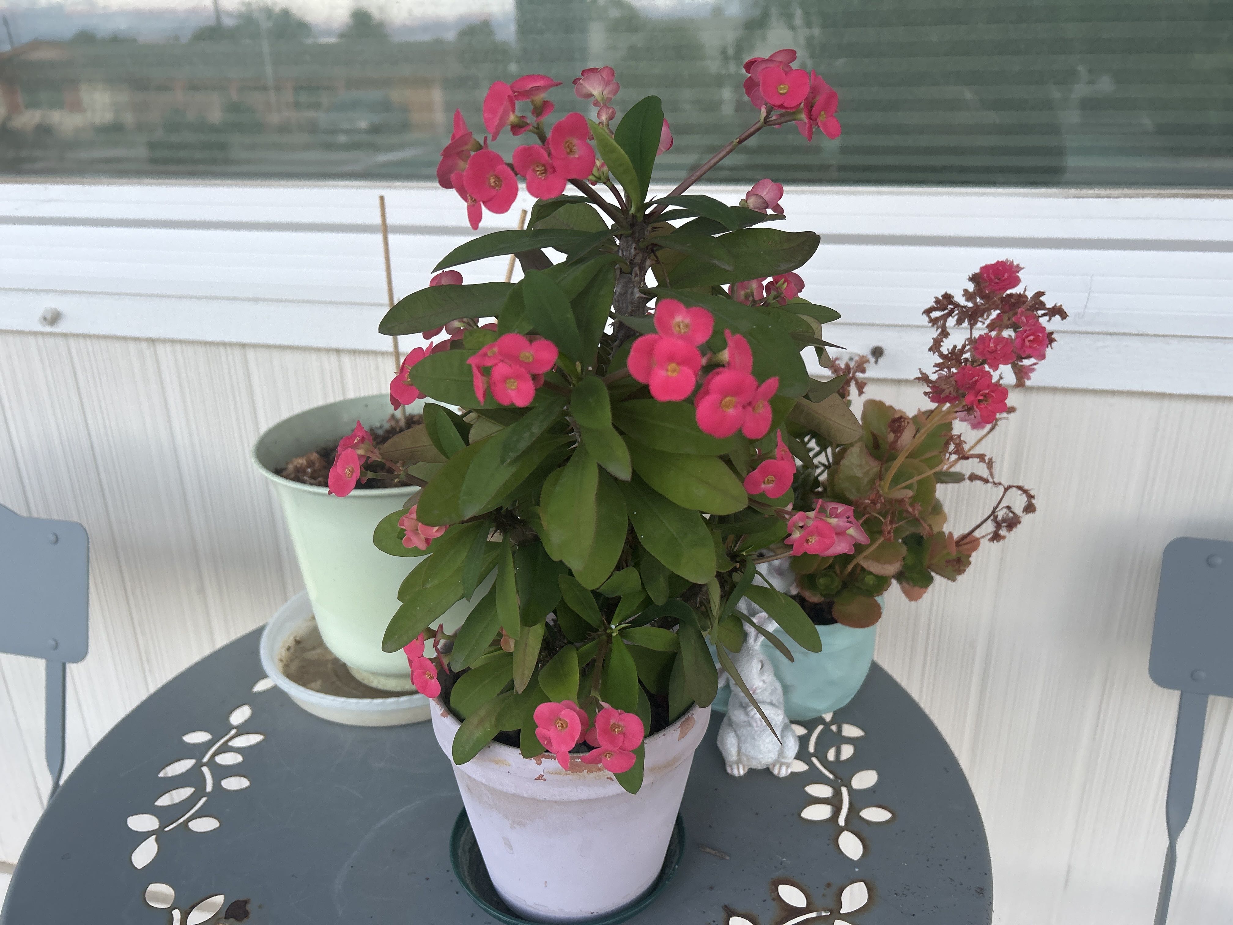 Photo from the post
