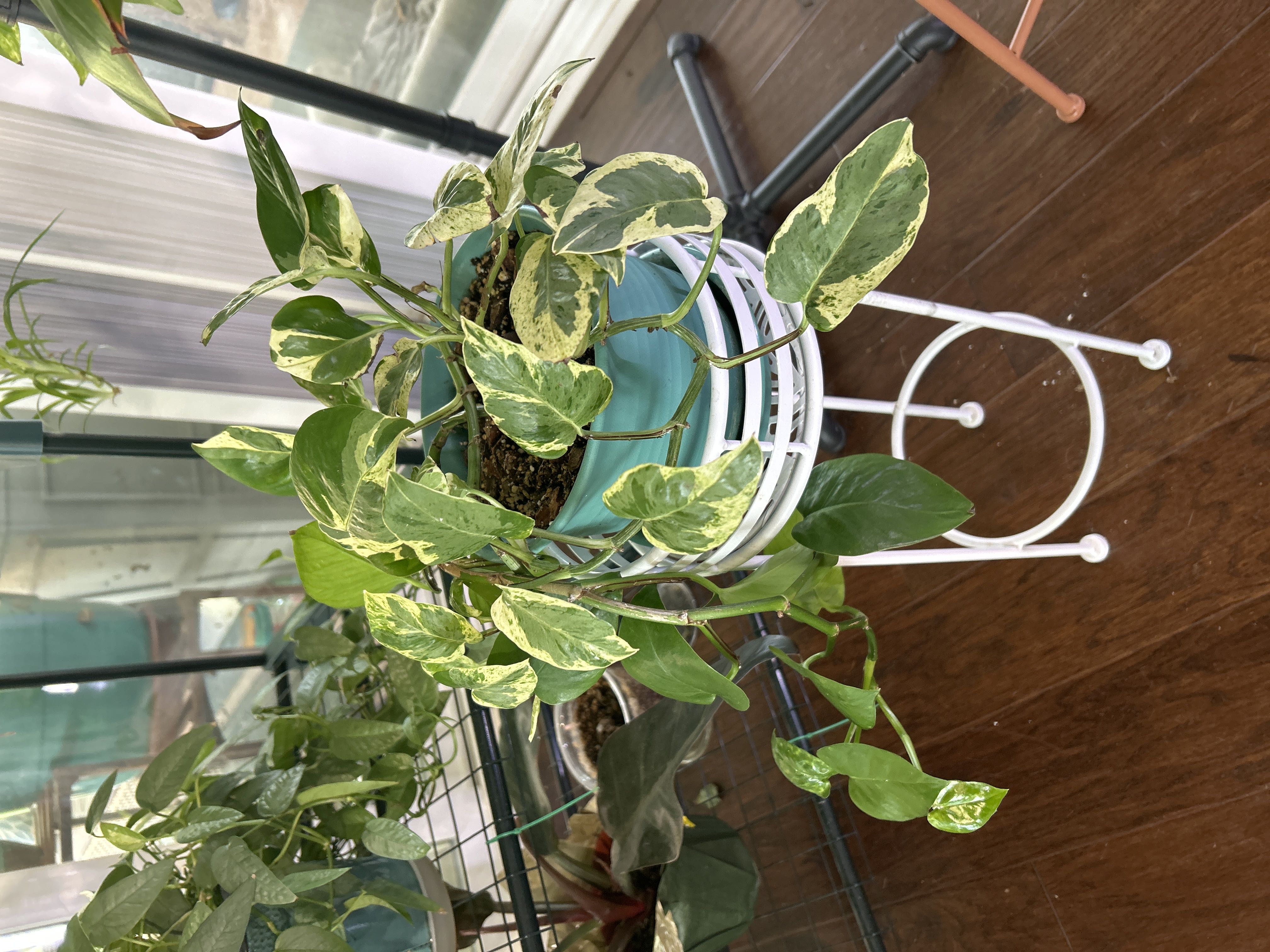 Photo from the post