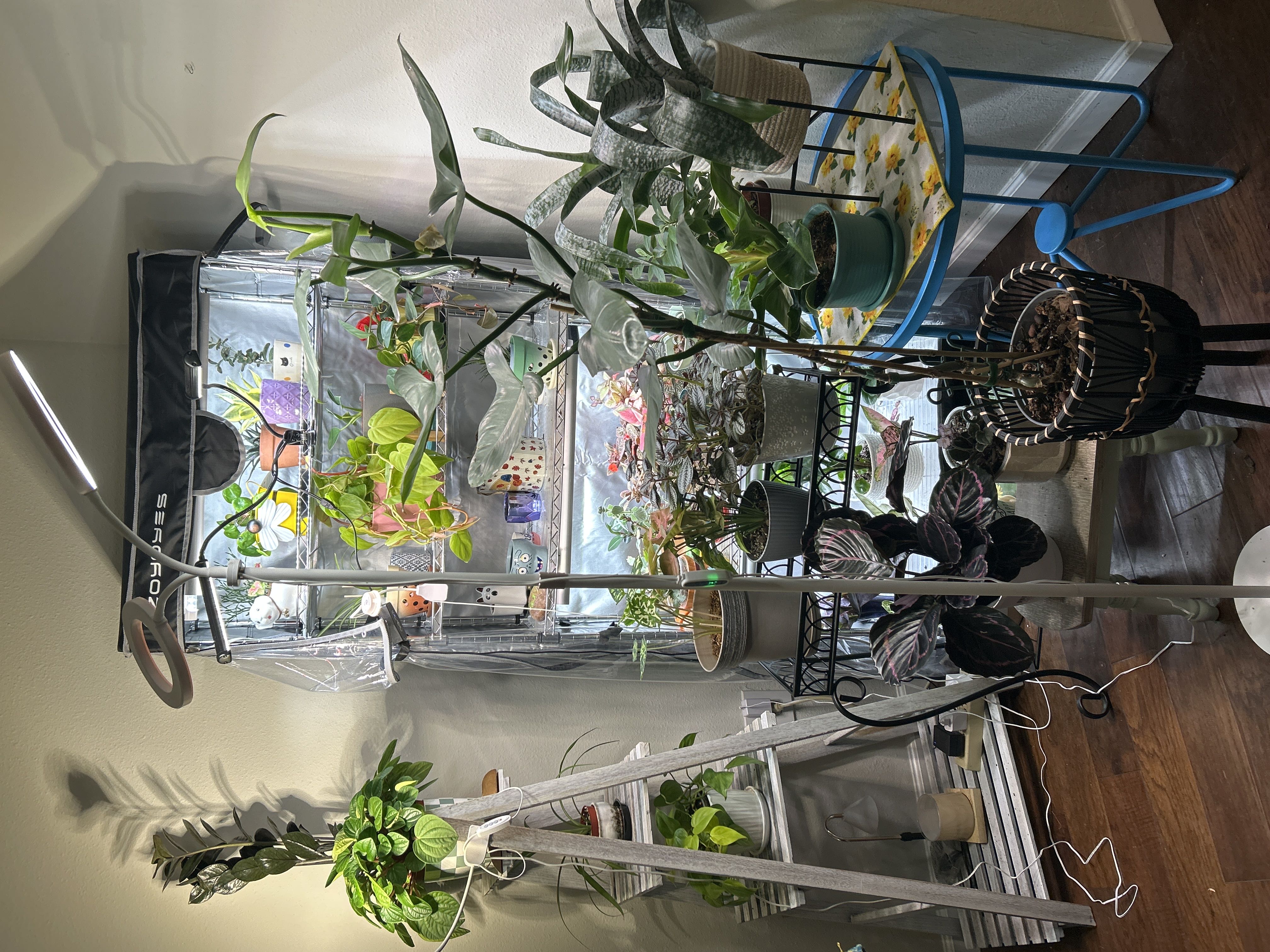 Photo from the post