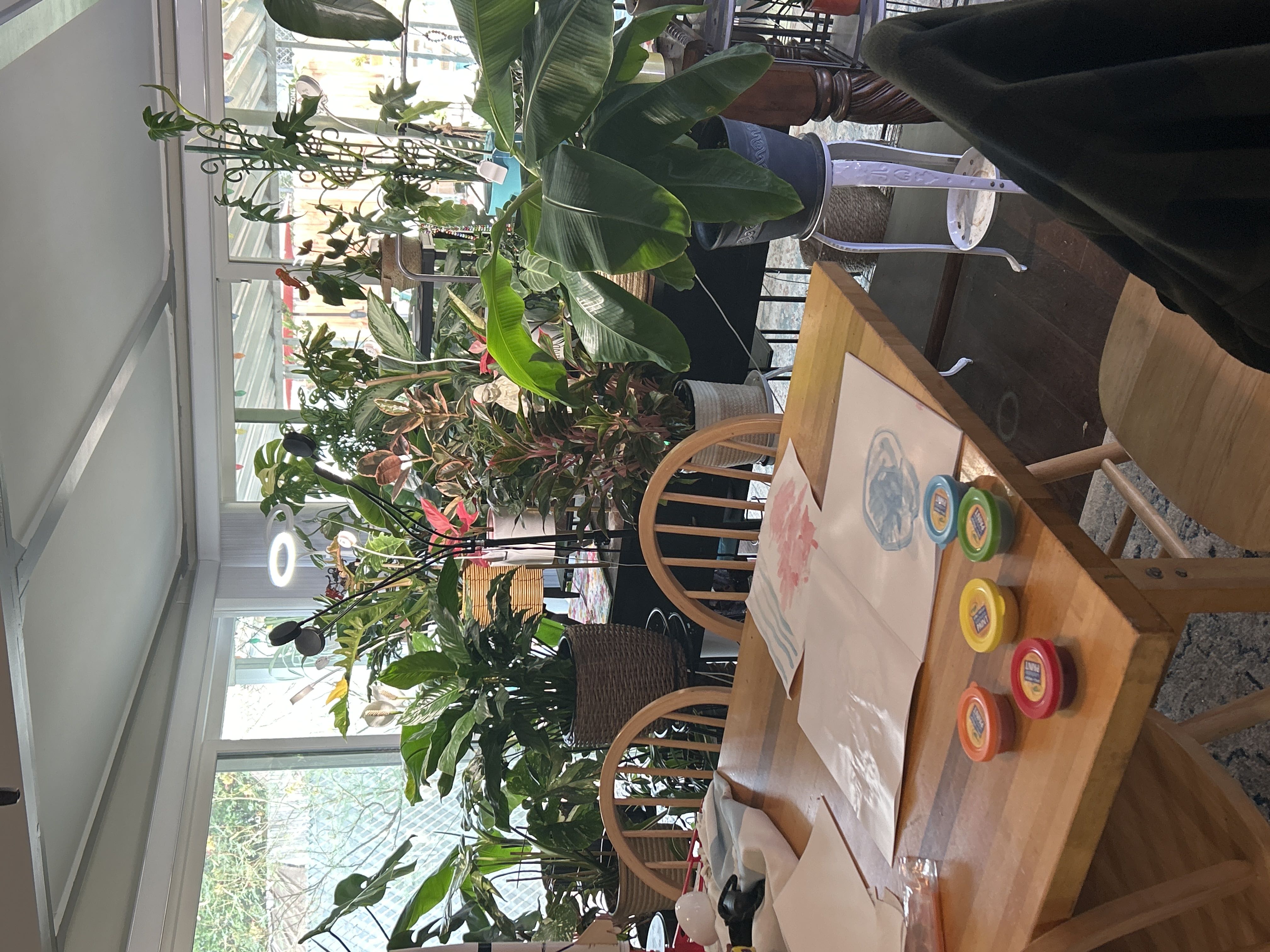 Photo from the post