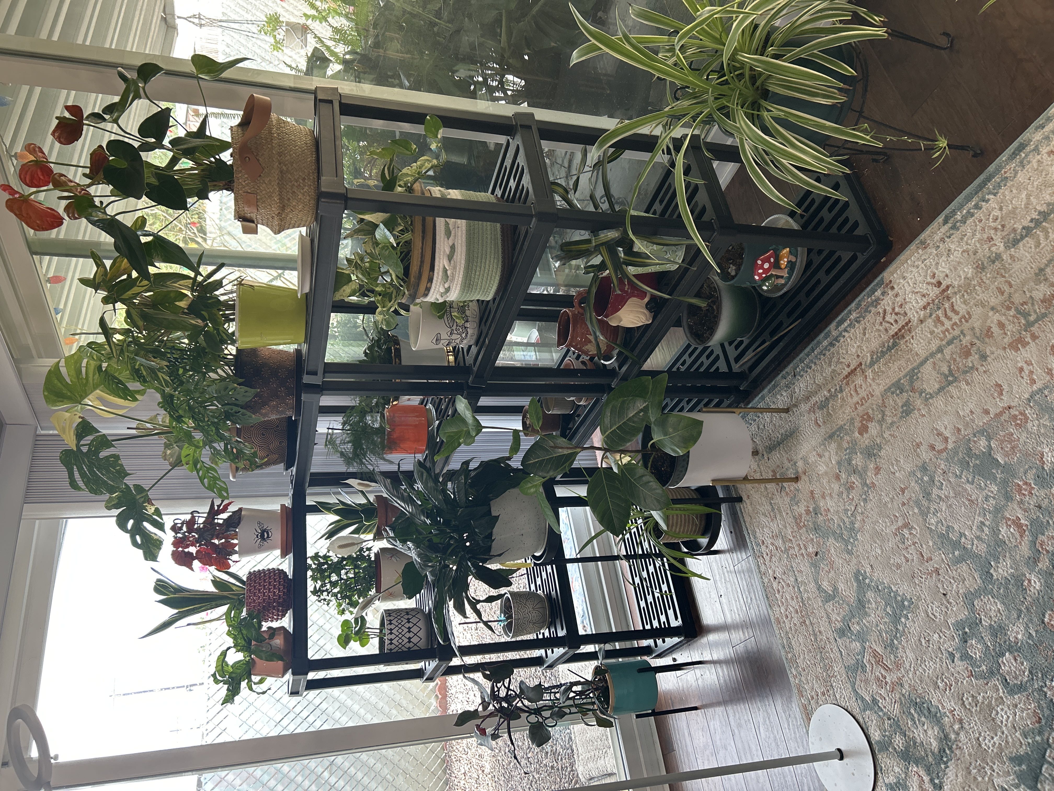 Photo from the post