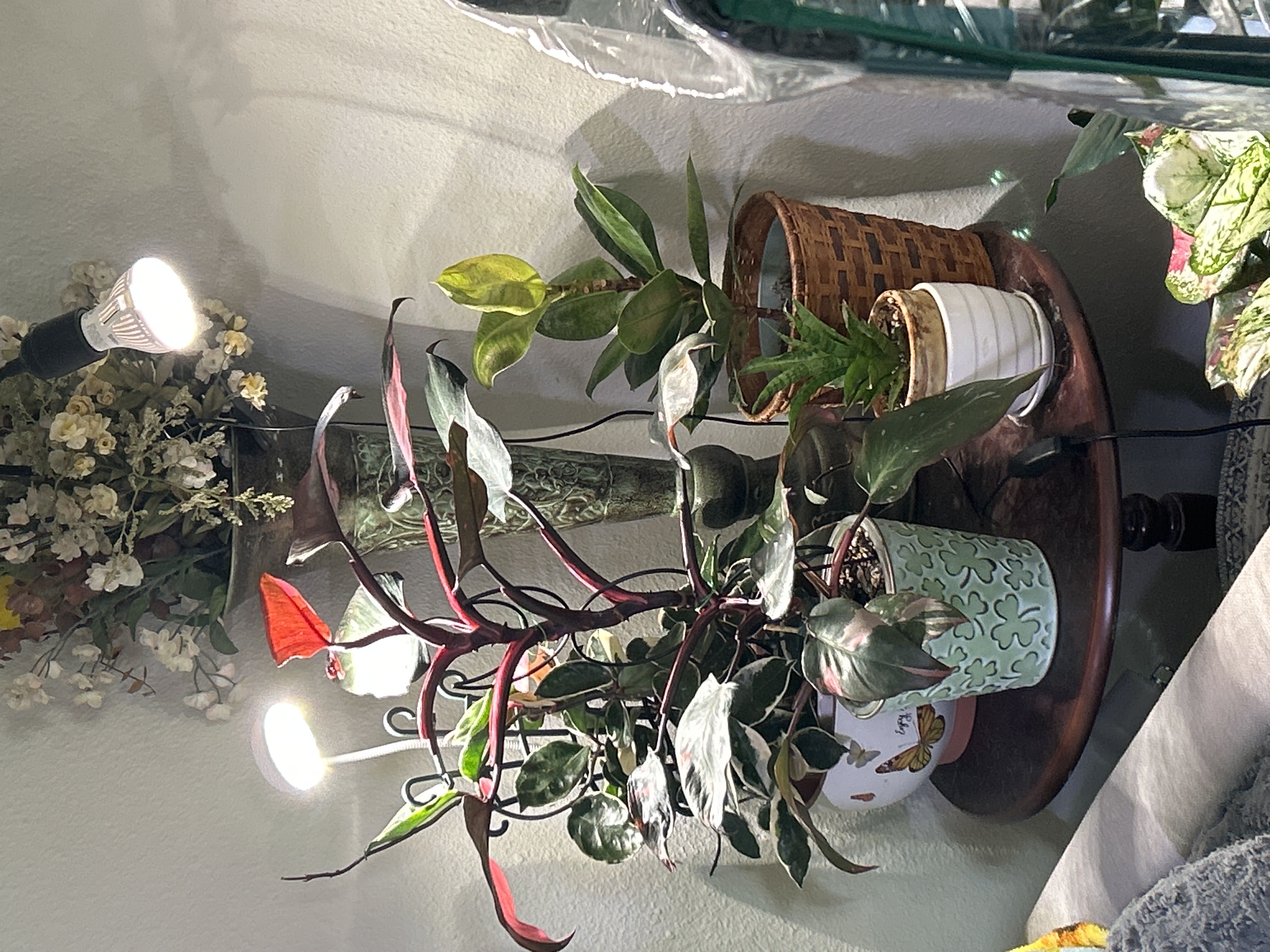 Photo from the post