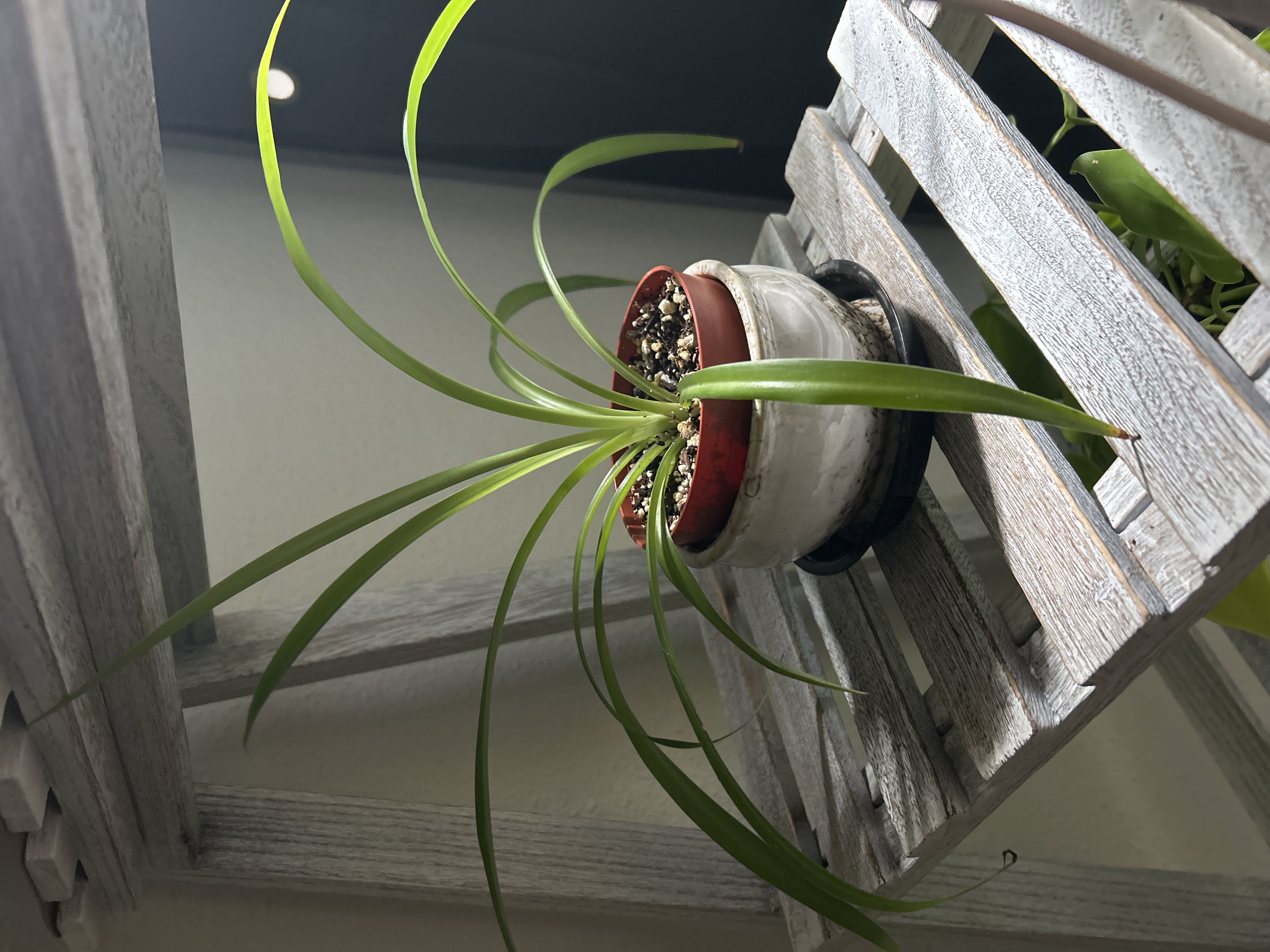 Photo from the post