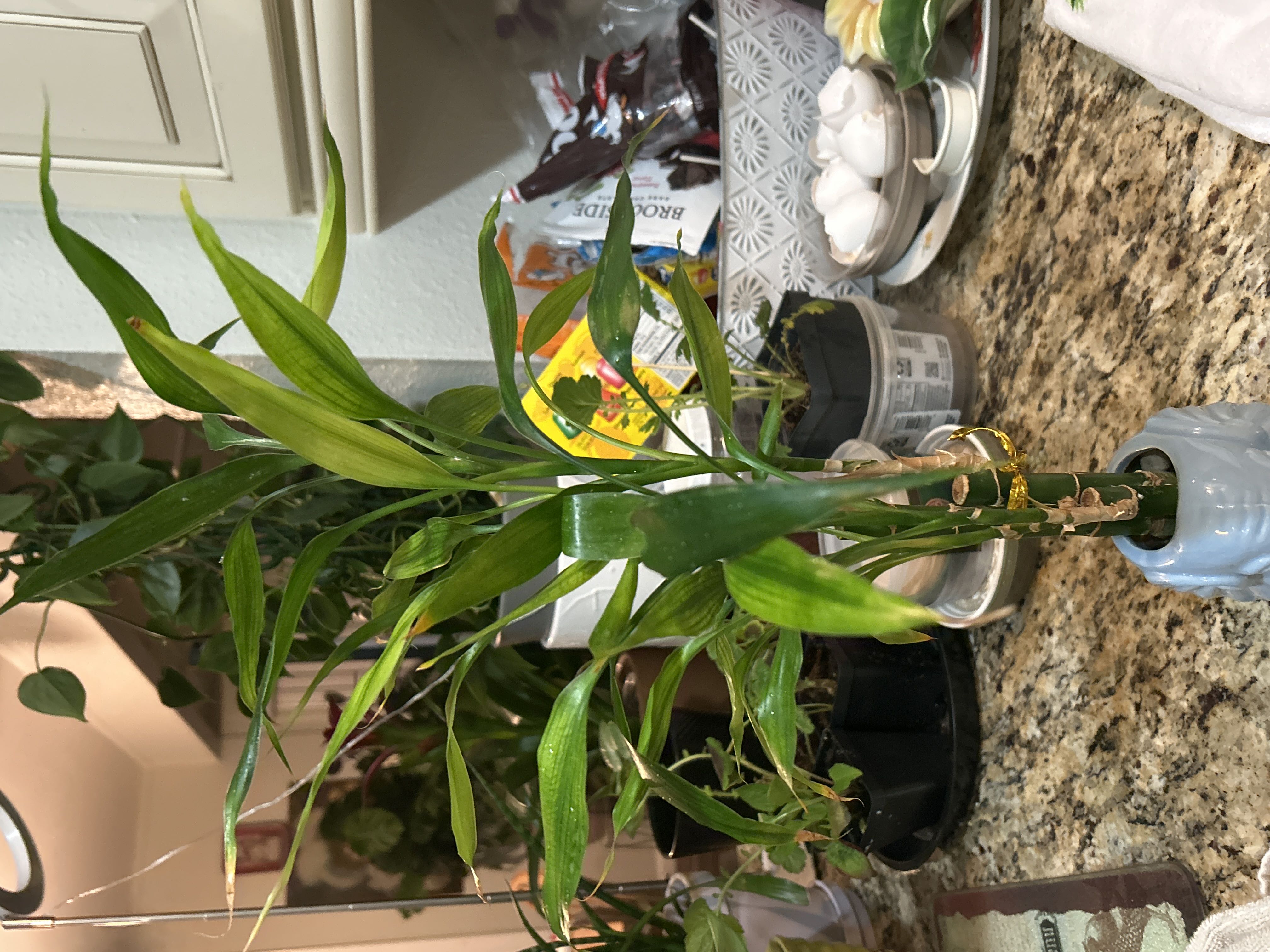 Photo from the post