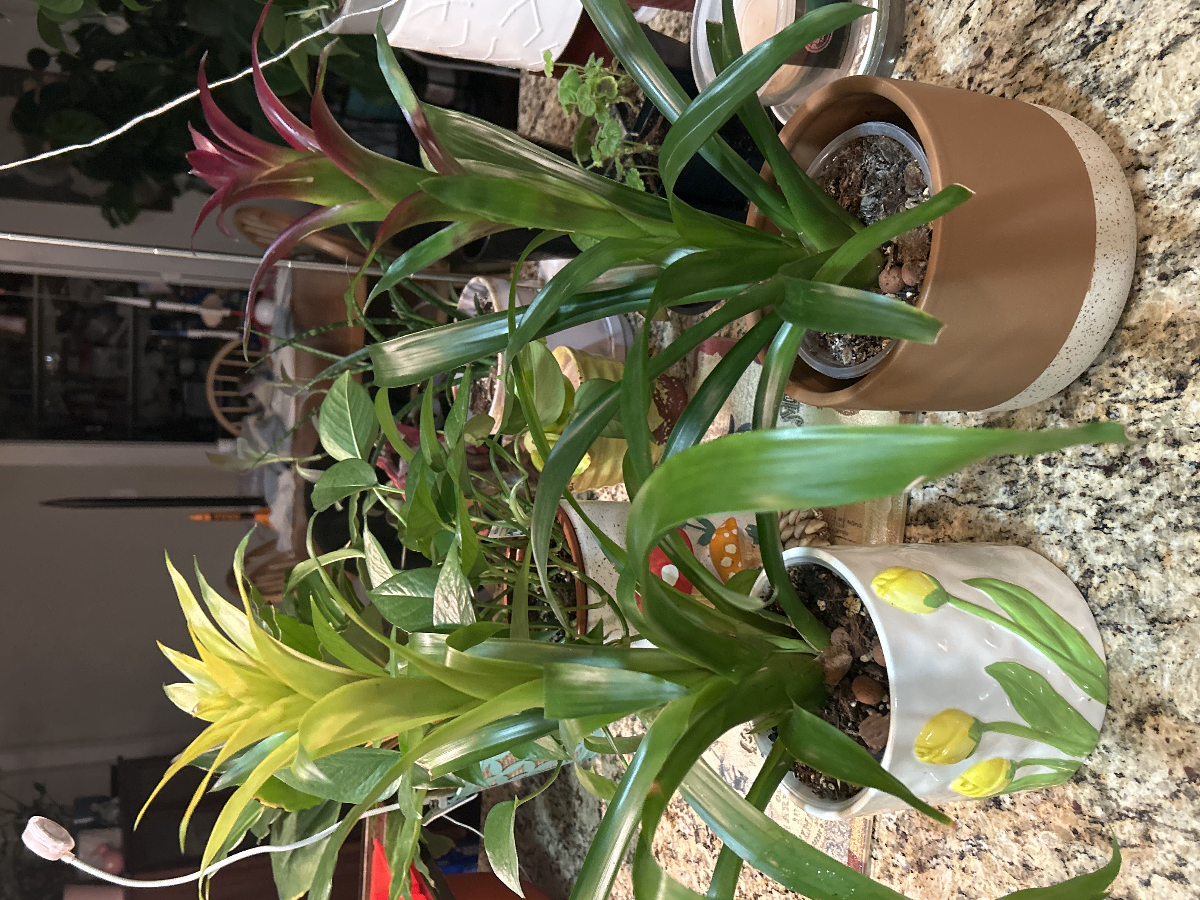 Photo from the post