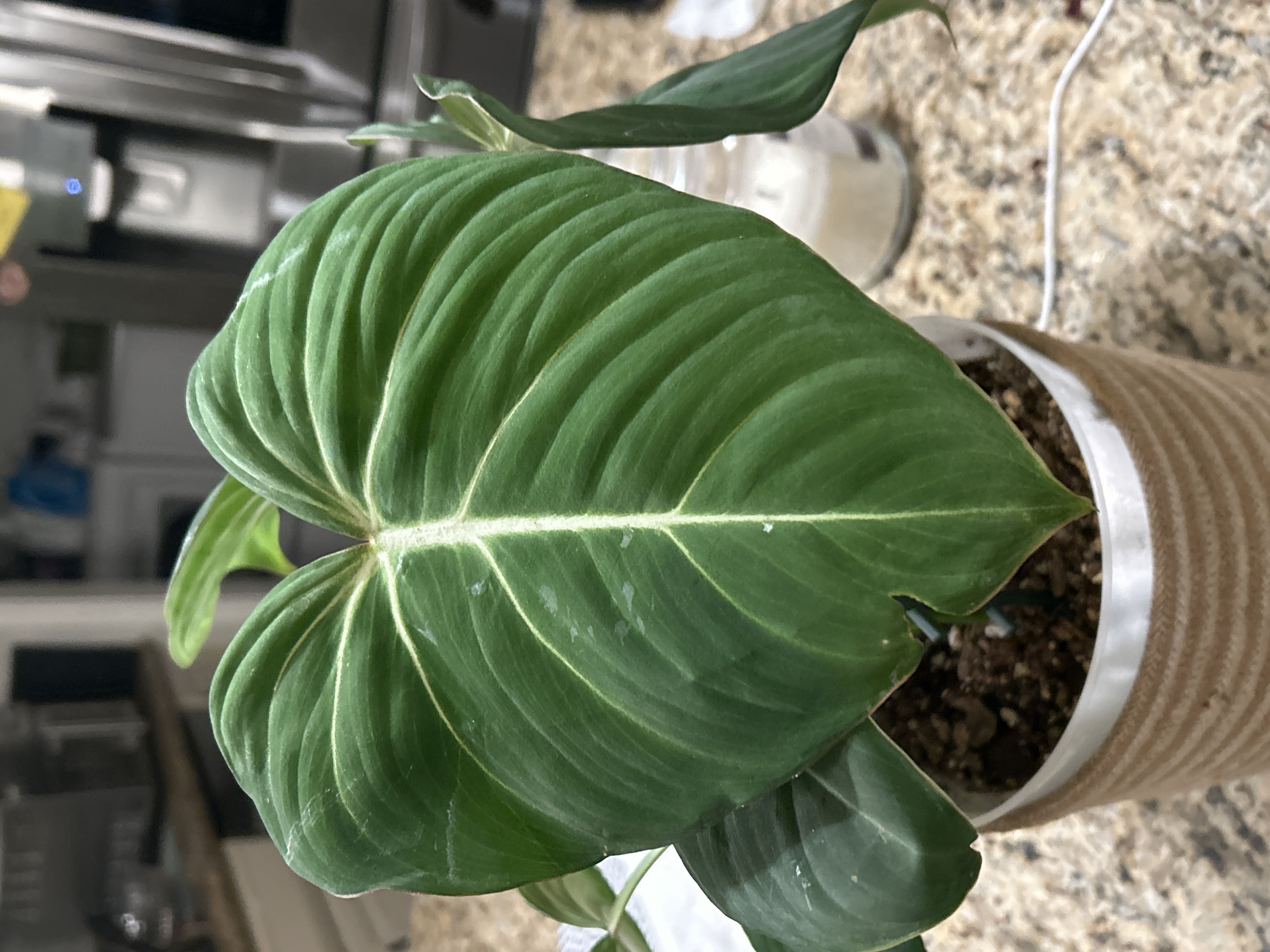 Photo from the post