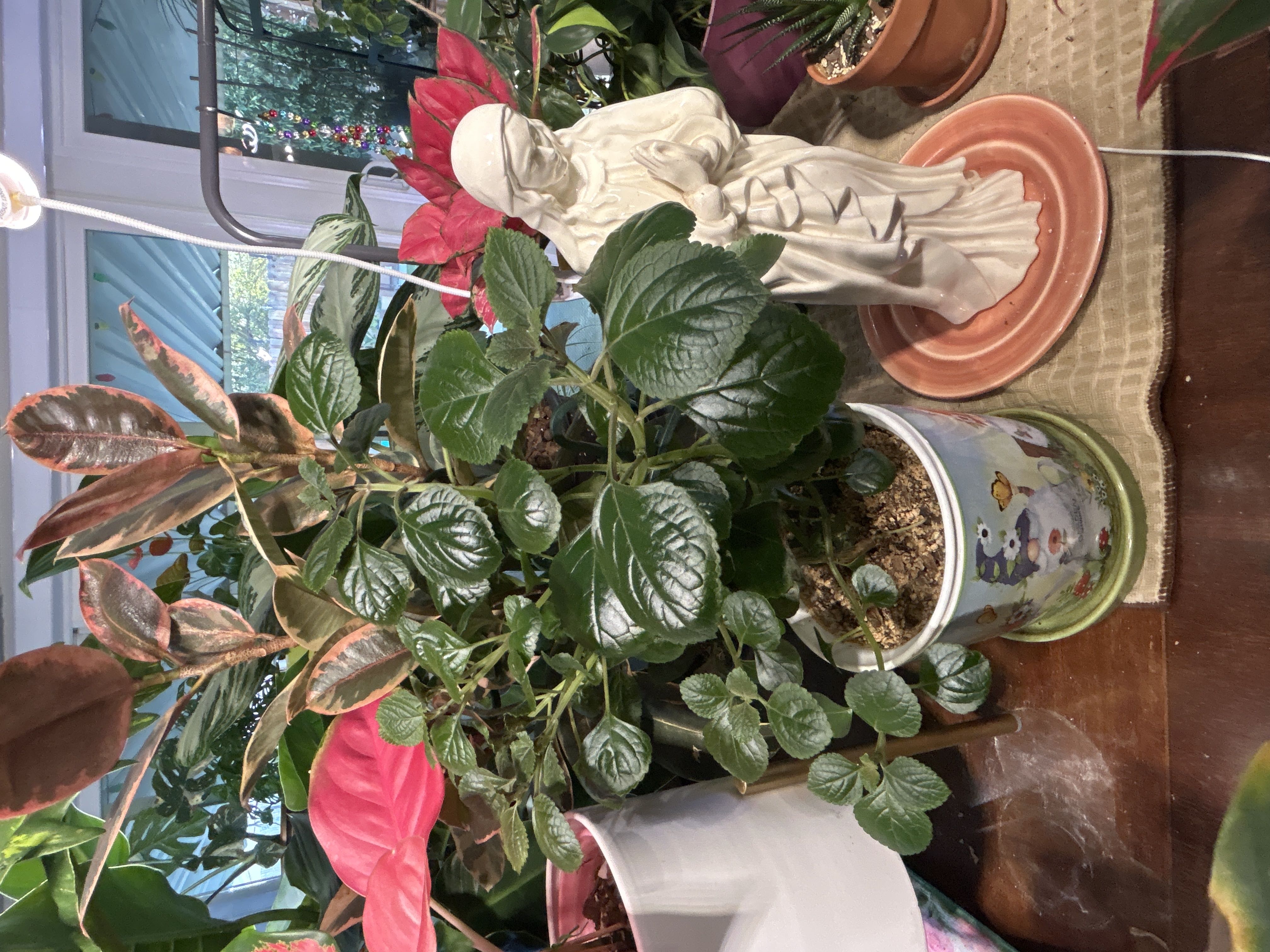 Photo from the post