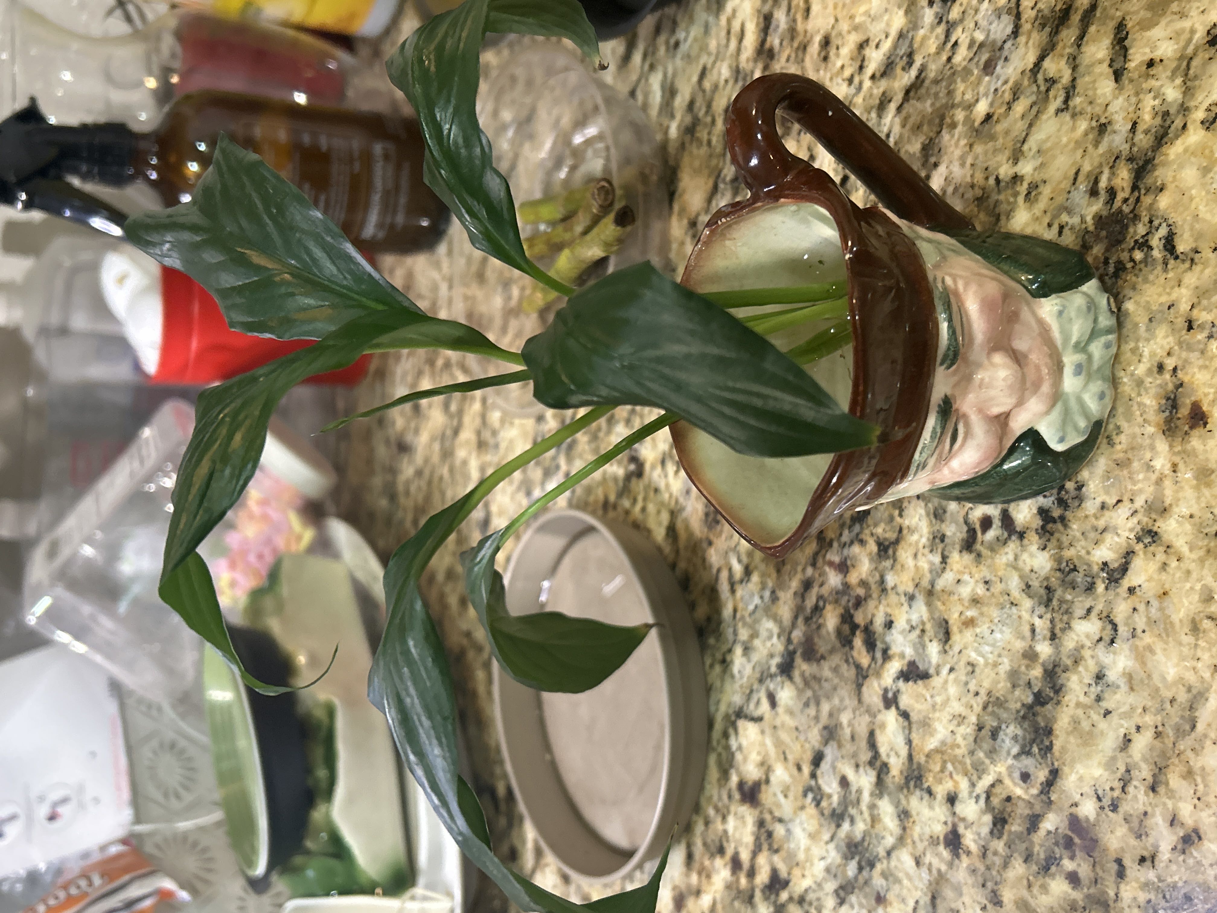 Photo from the post