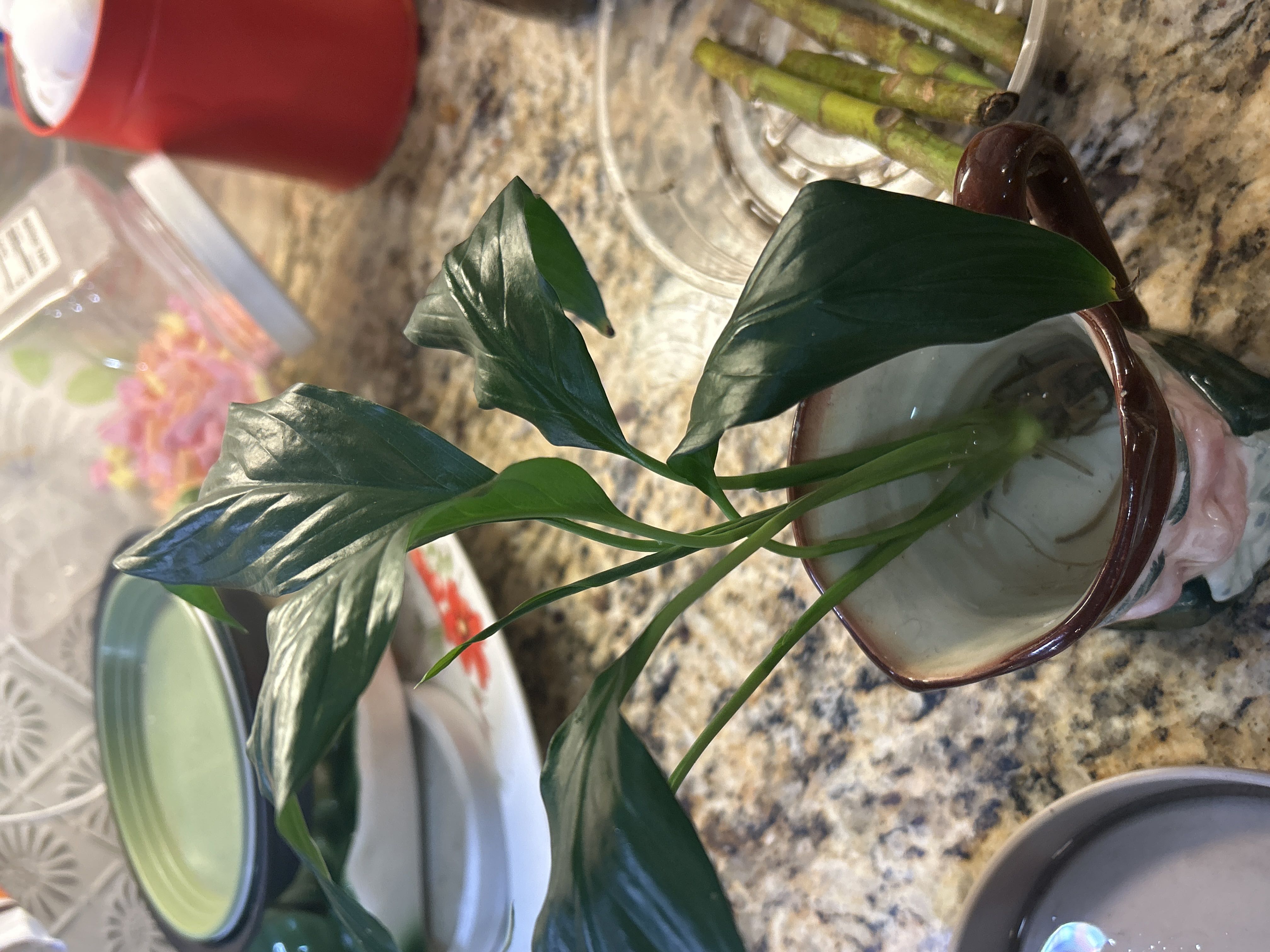 Photo from the post