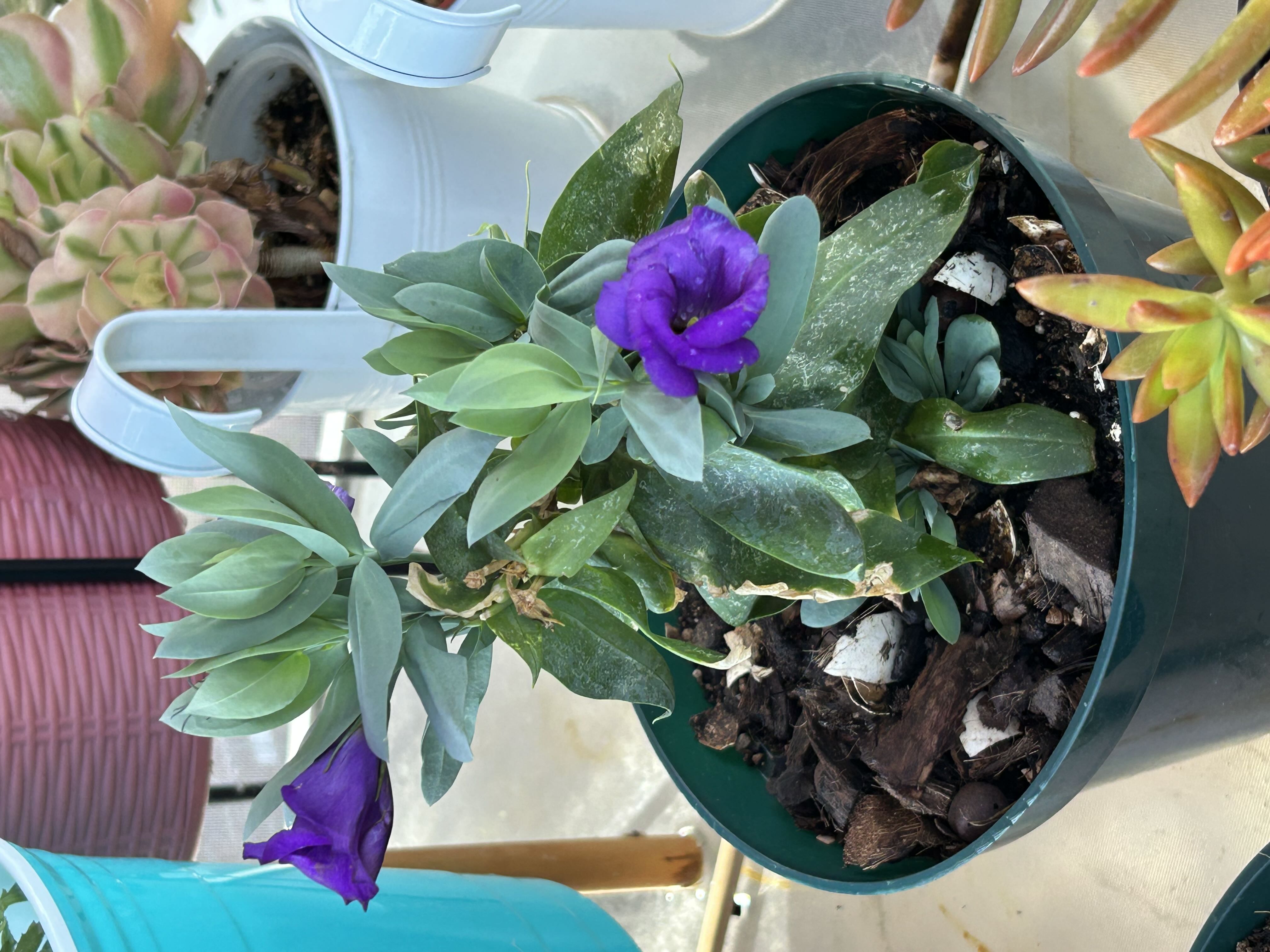 Photo from the post