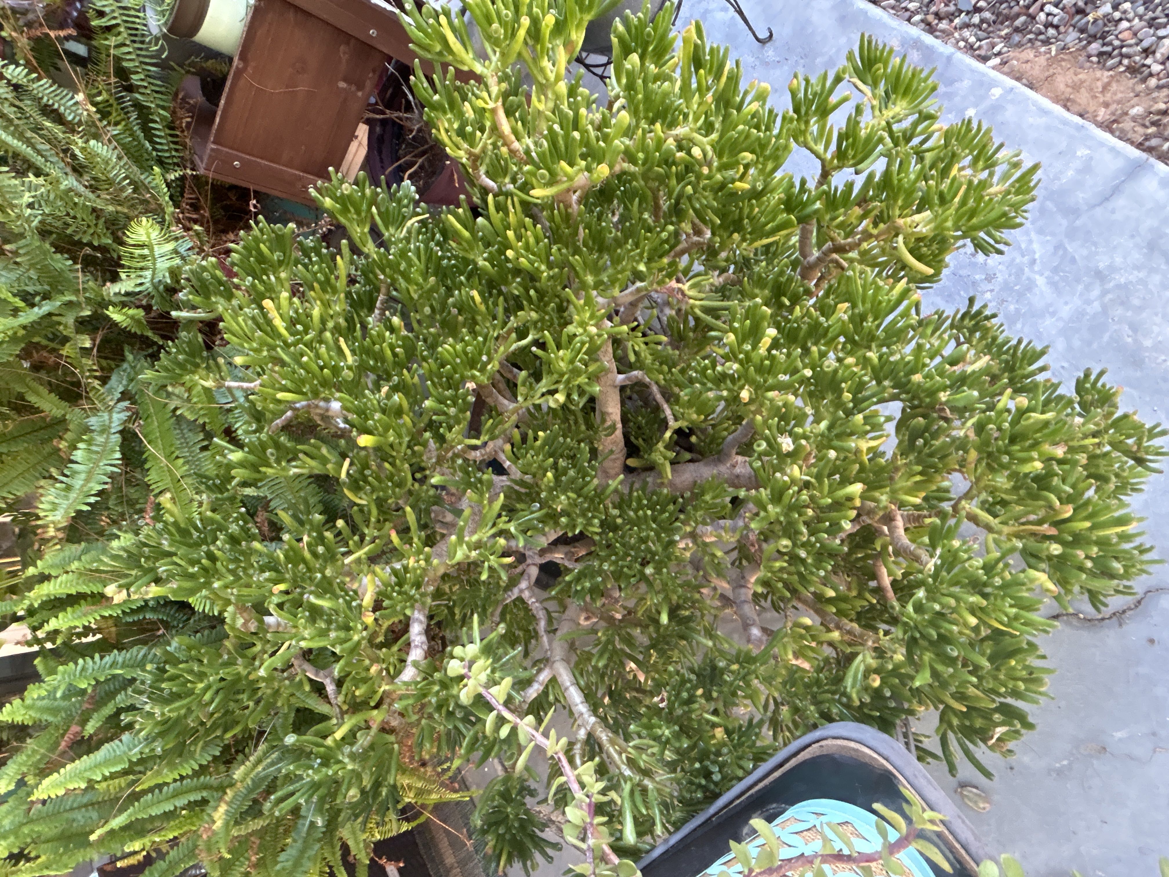 Photo from the post