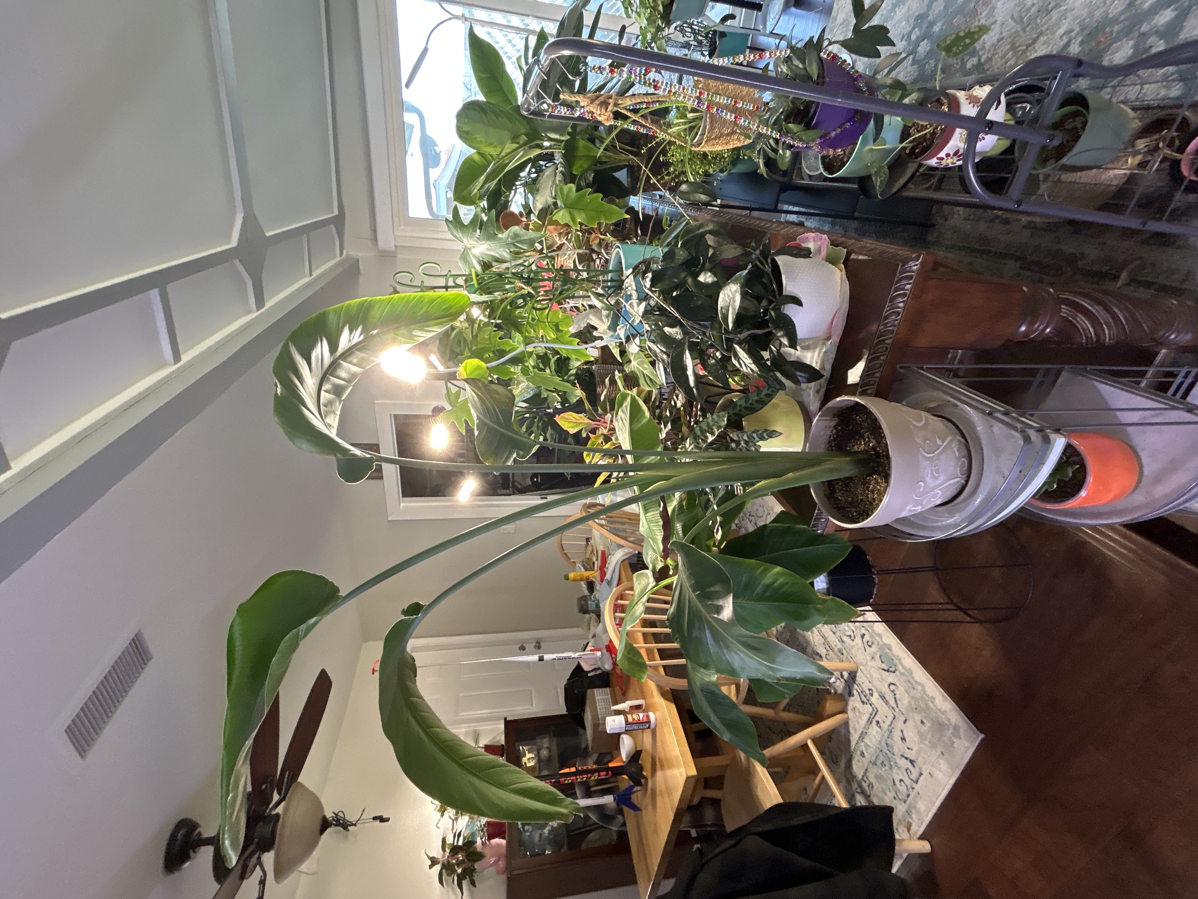 Photo from the post