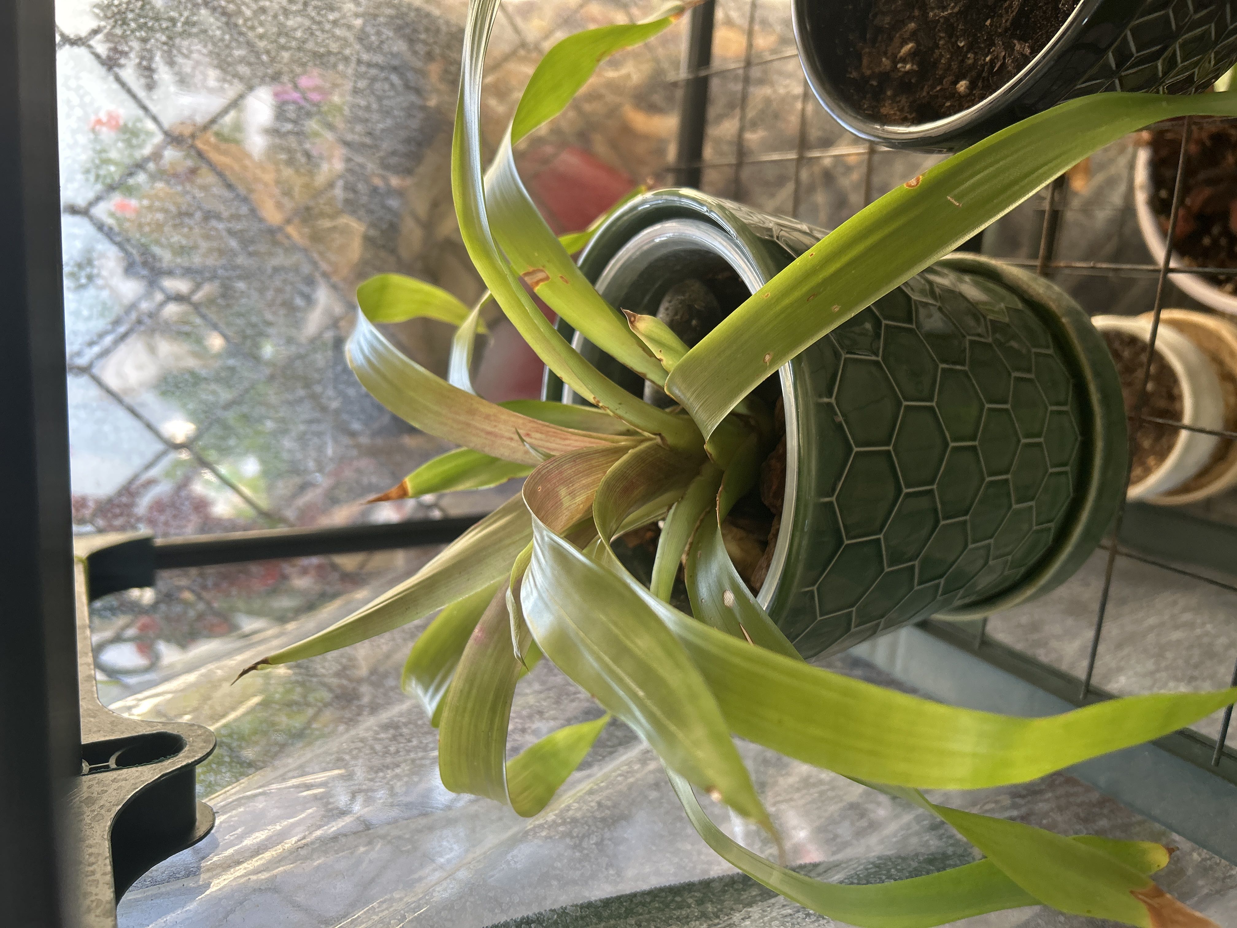 Photo from the post