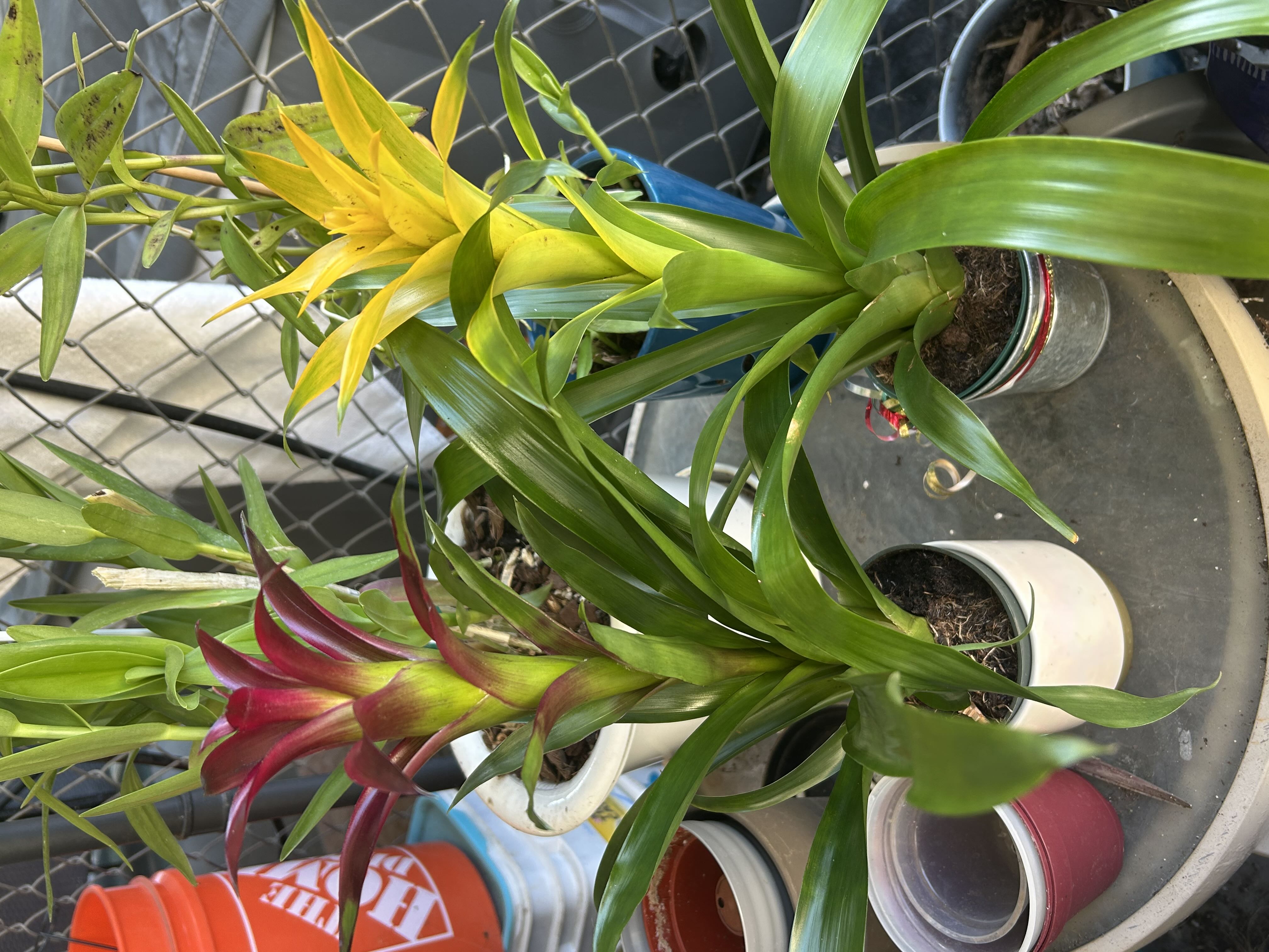 Photo from the post