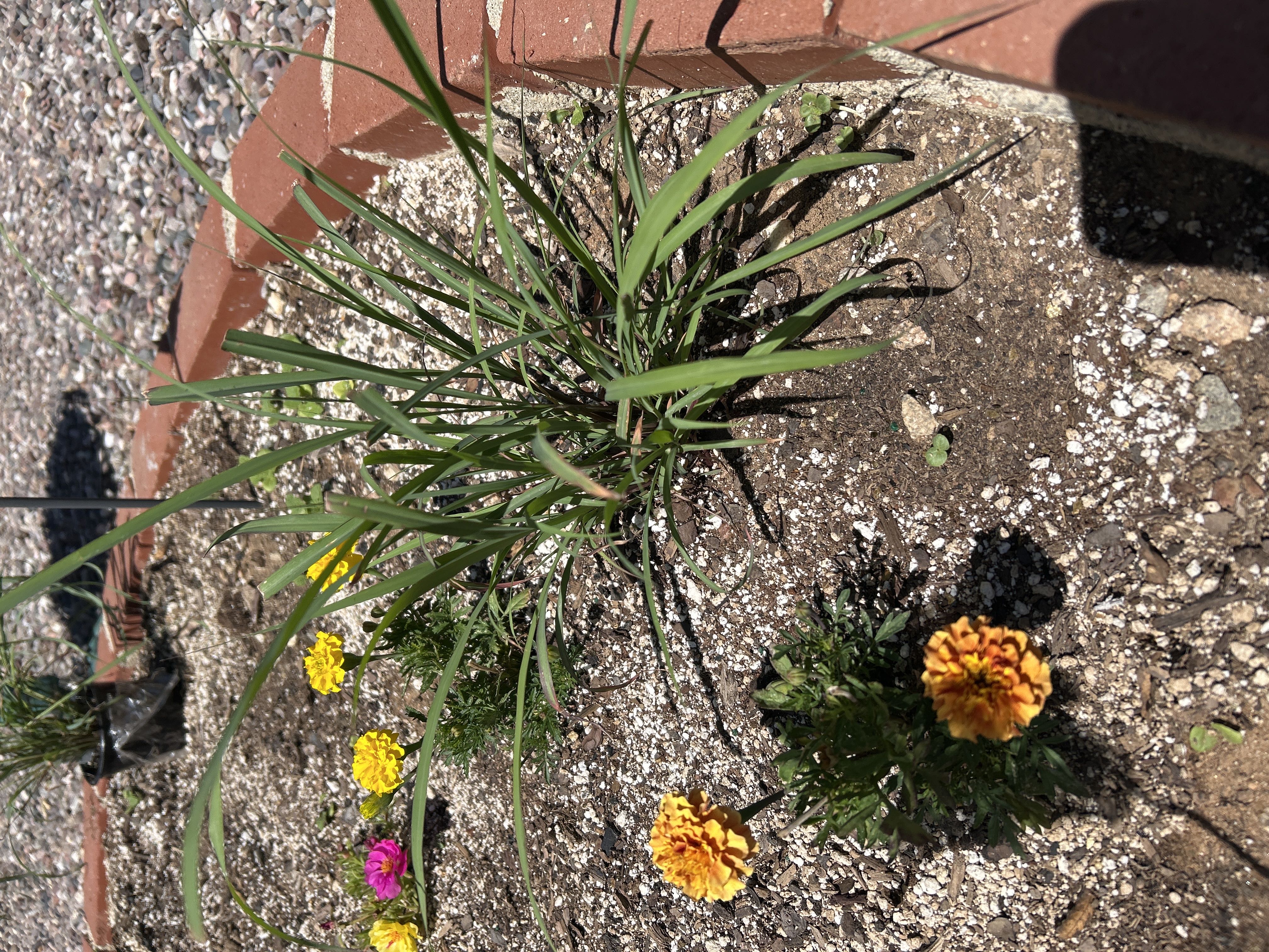Photo from the post