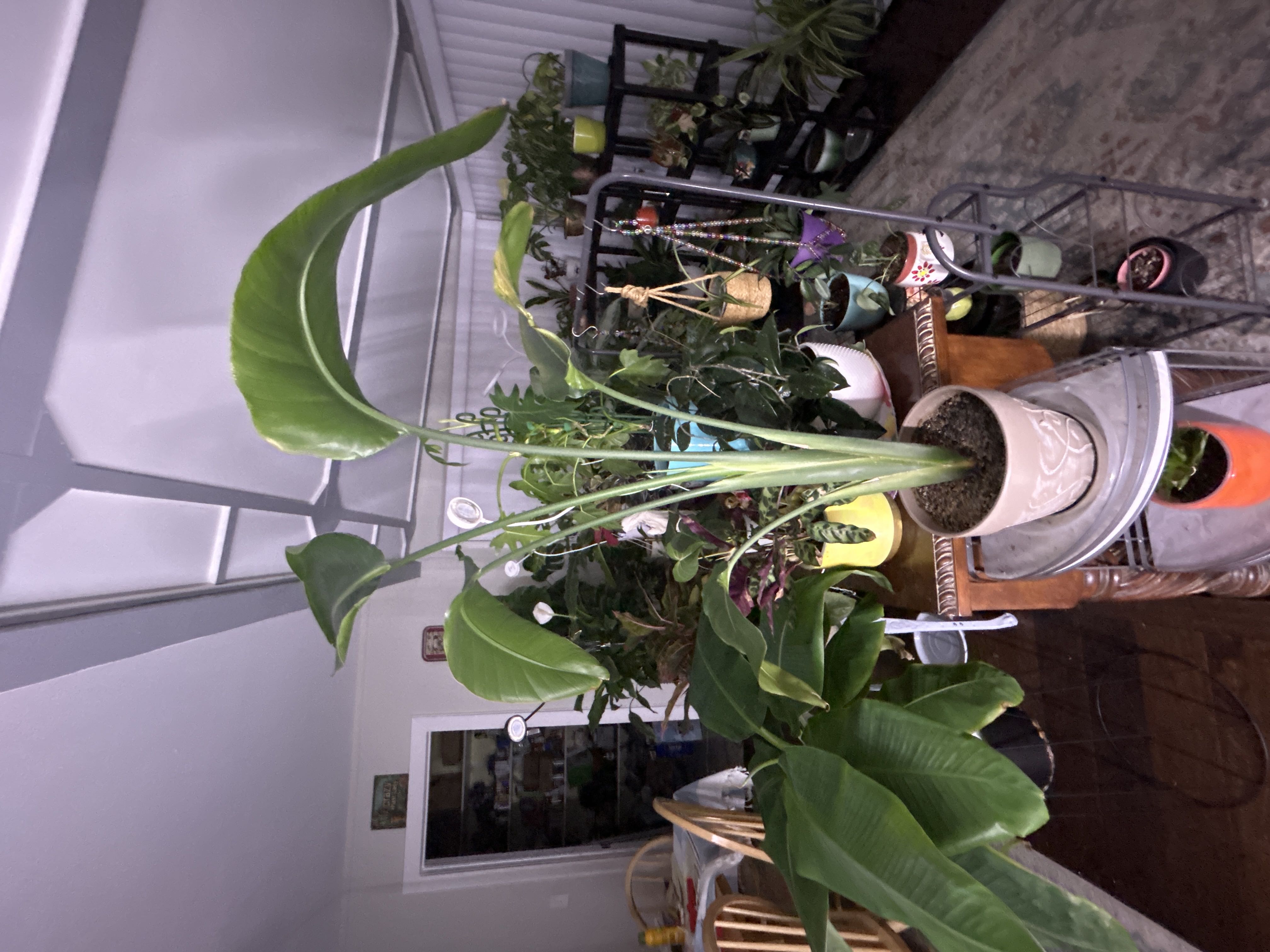 Photo from the post