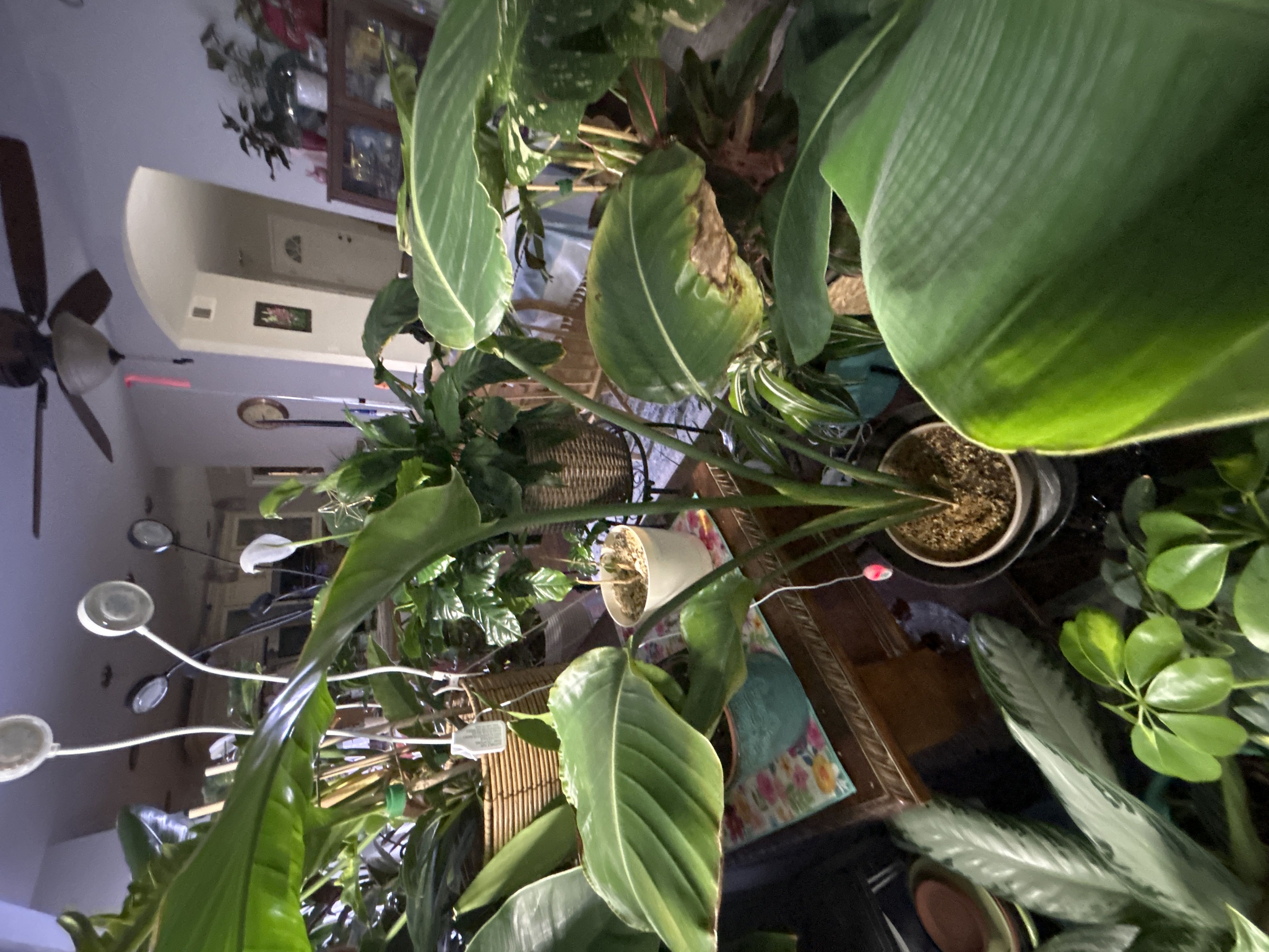Photo from the post