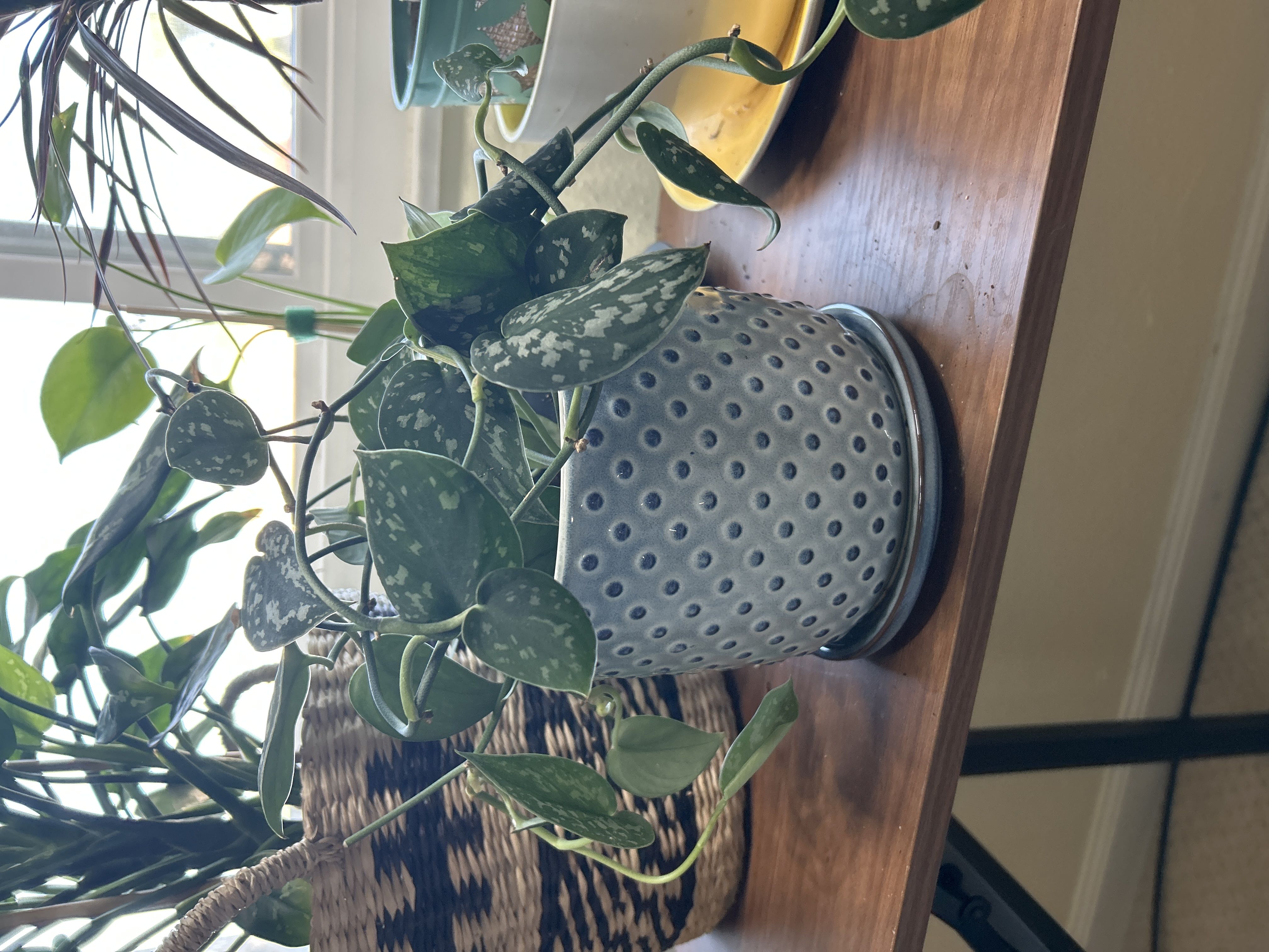 Photo from the post